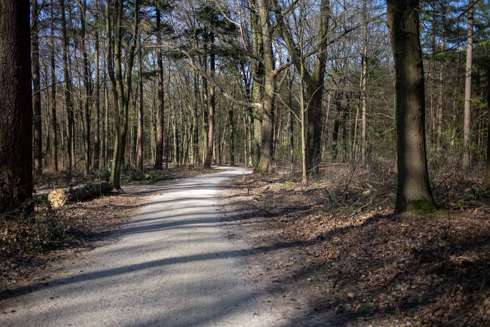 Bikepacking_Veluwe_10.jpeg