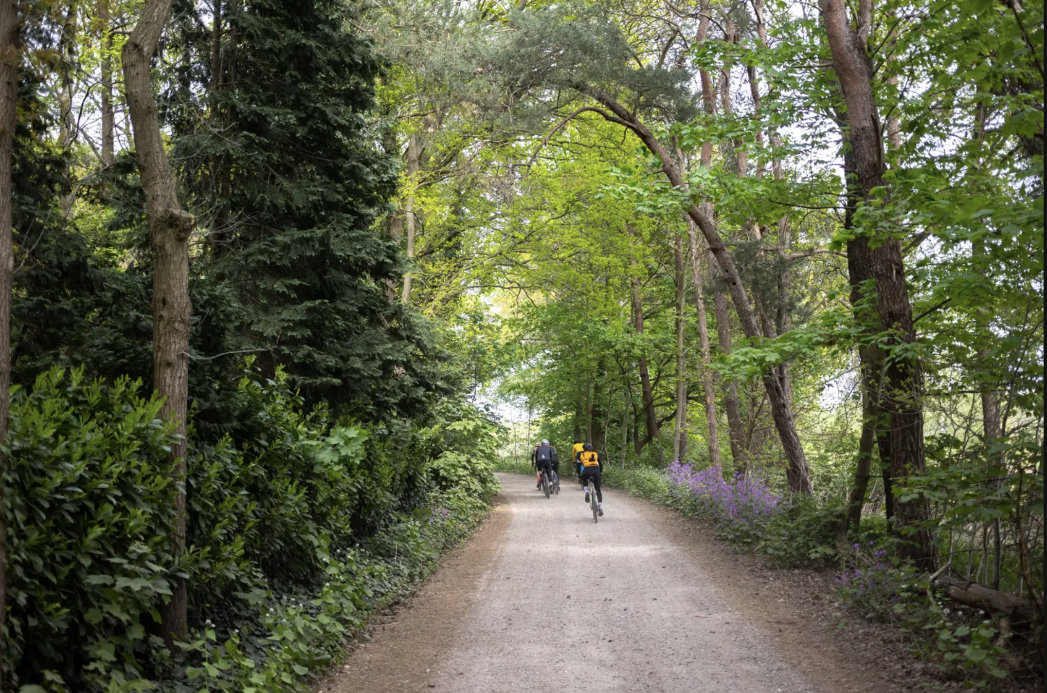 Bikepacking_Breda_04.jpeg