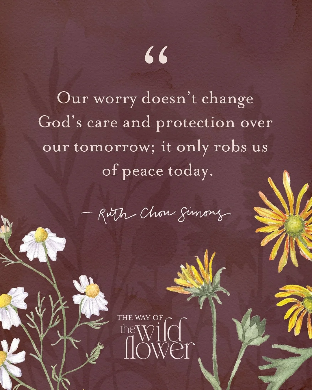 Are you tired of spinning with worry, fear, and anxious thoughts? Place your trust in the God who is the same yesterday, today, and forever.

[My new devotional, #thewayofthewildflower, comes out October 14. Pre-order now to claim freebies and gifts 