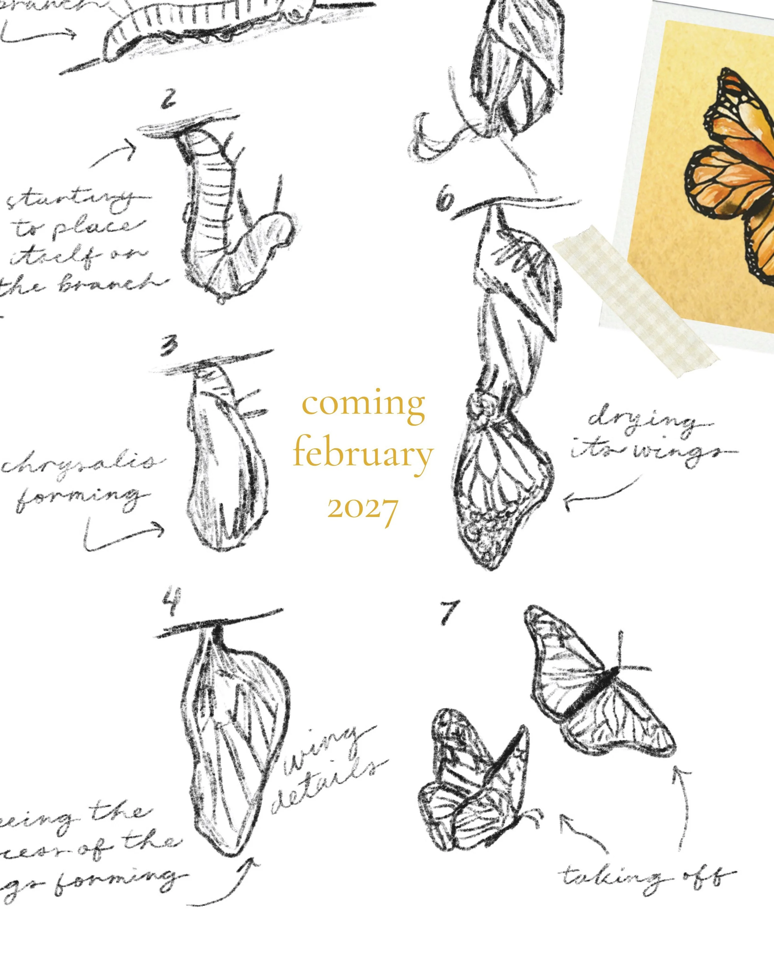 Your beautiful unfolding begins February 2, 2027. 🦋