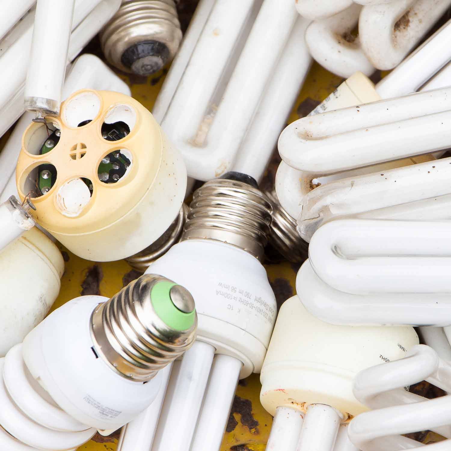 How to Dispose of Fluorescent Bulbs A Guide to Safe and Responsible Recycling — Better Goodness