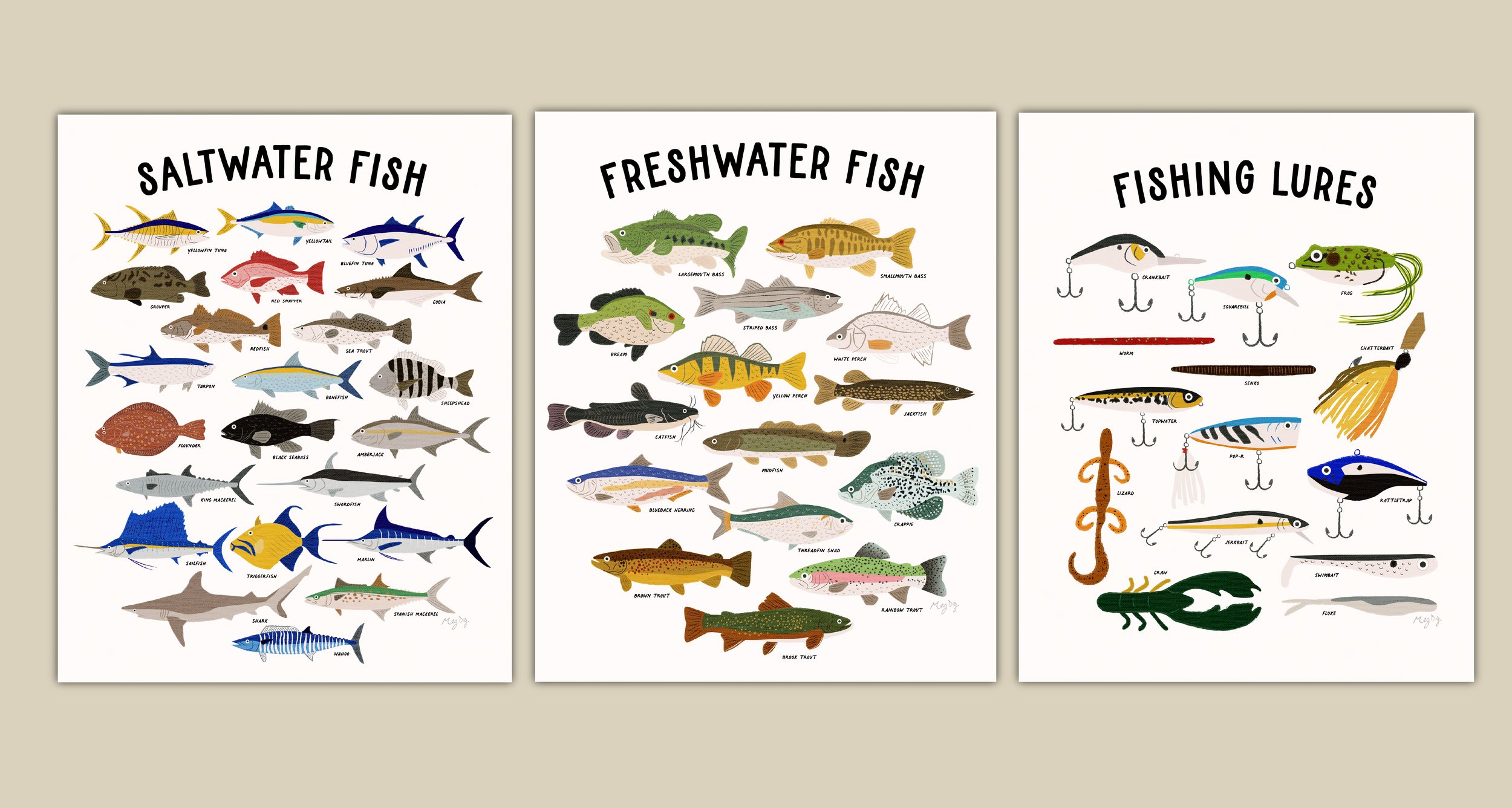 Fish Poster Series