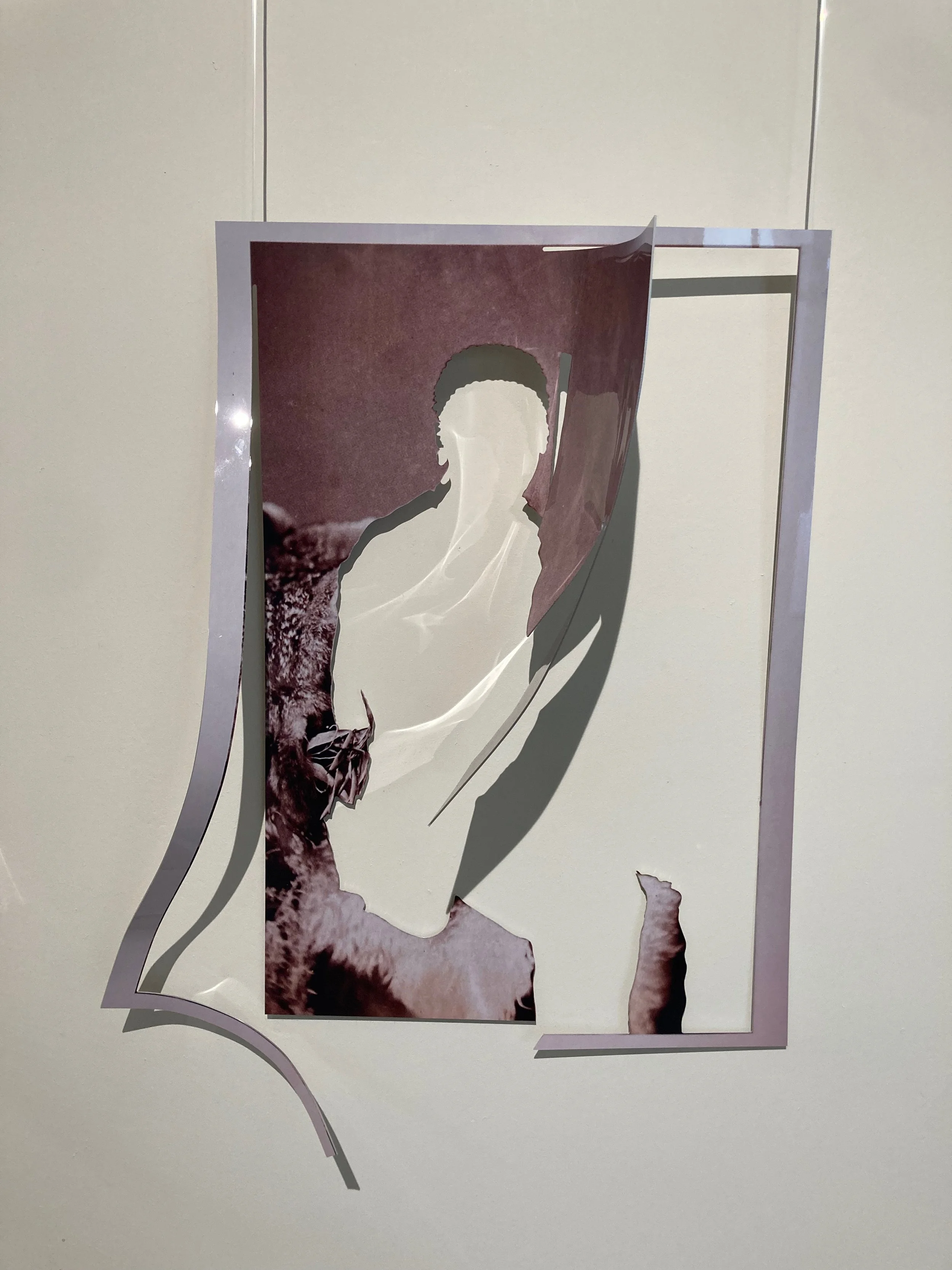 IMG_3319.jpeg