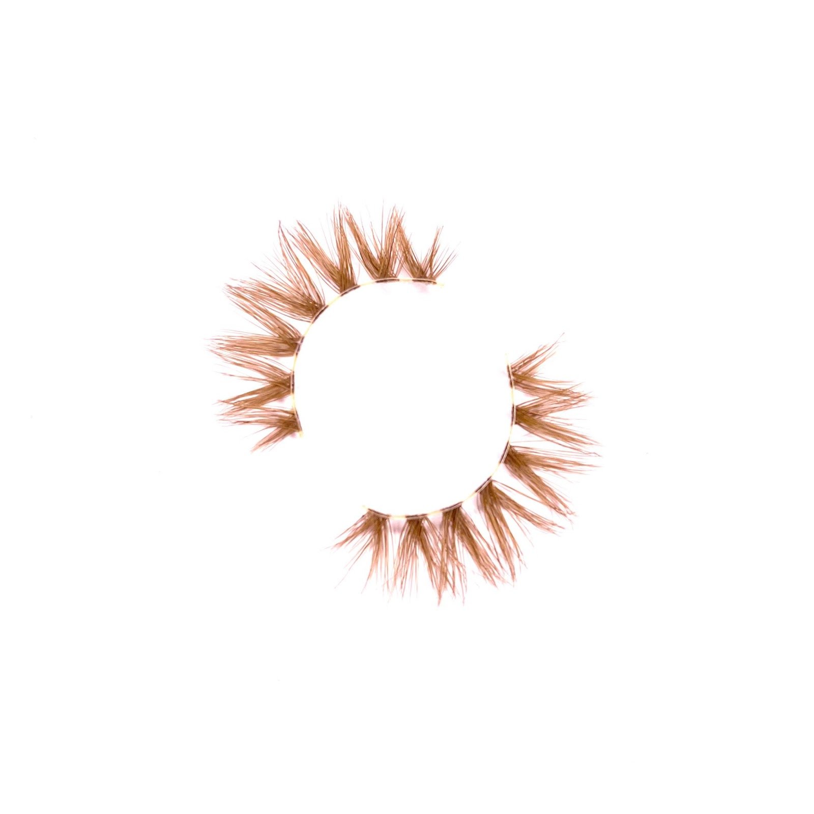 10 - Golden - 2.jpeg