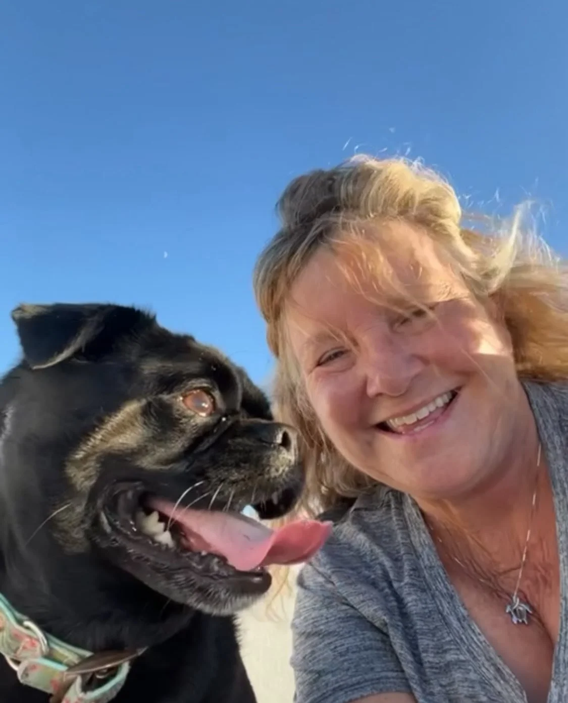 Happy national pug day to the coolest pug ever! I love you molly!!!