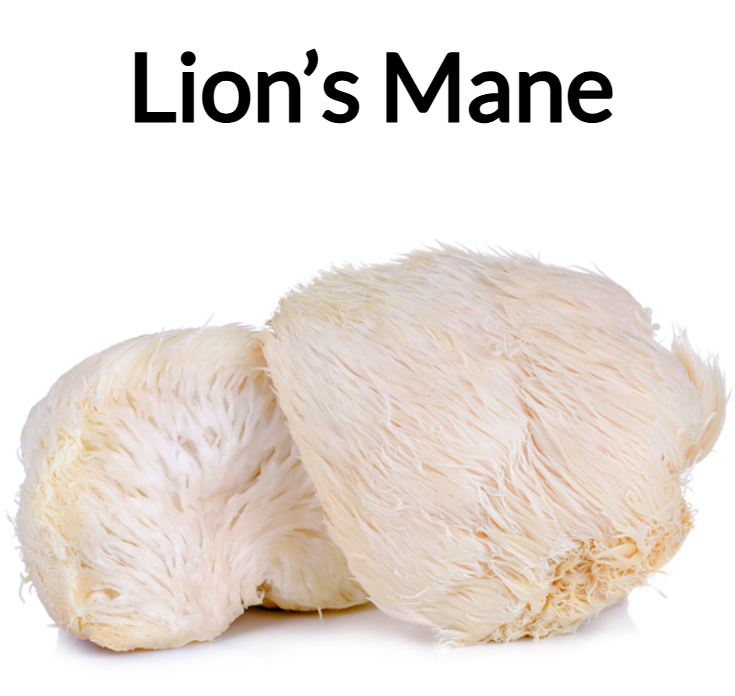 lions mane.png