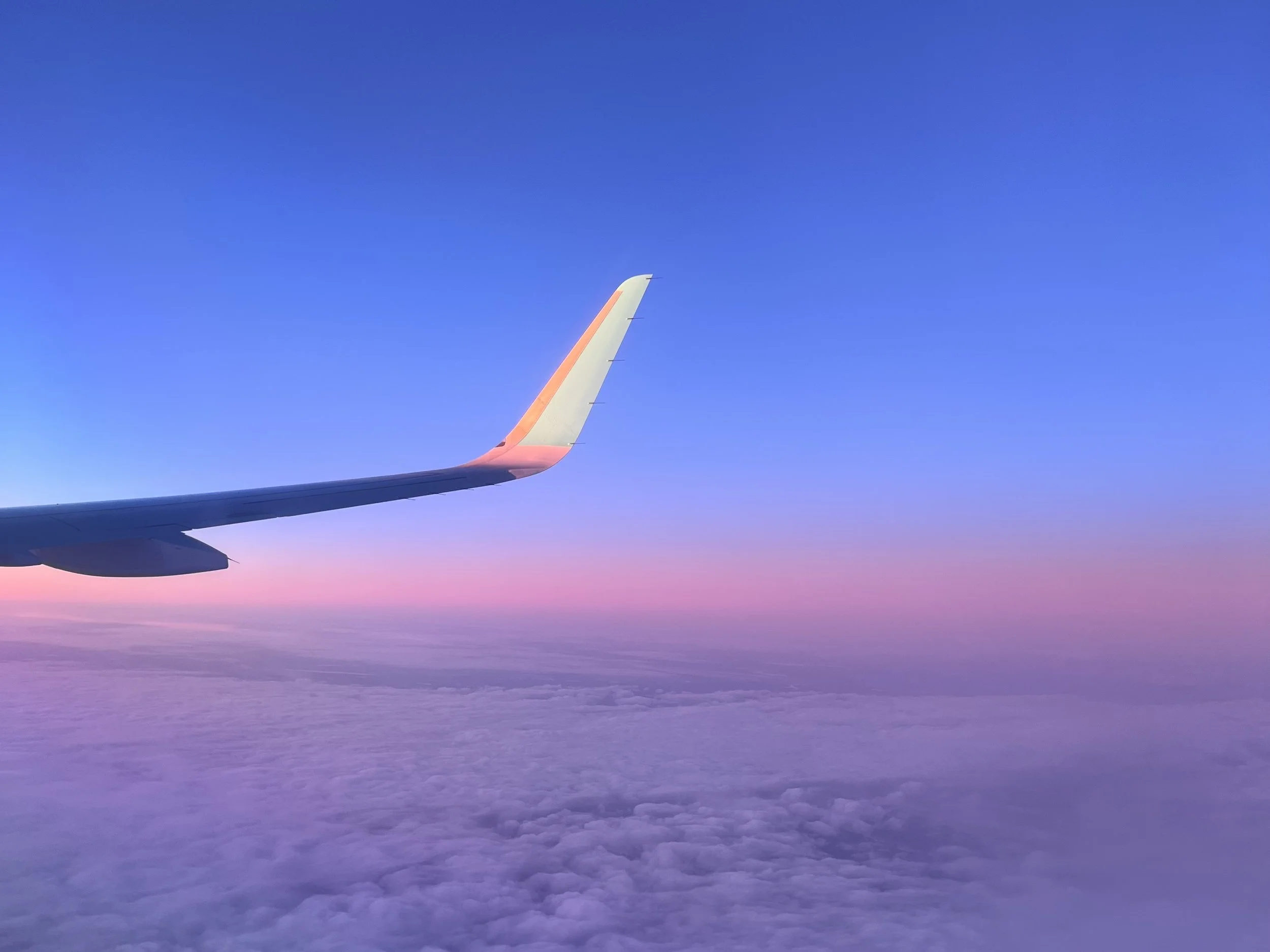 Aotearoa Dreams Part 2: Transition, uncertainty, liminal spaces