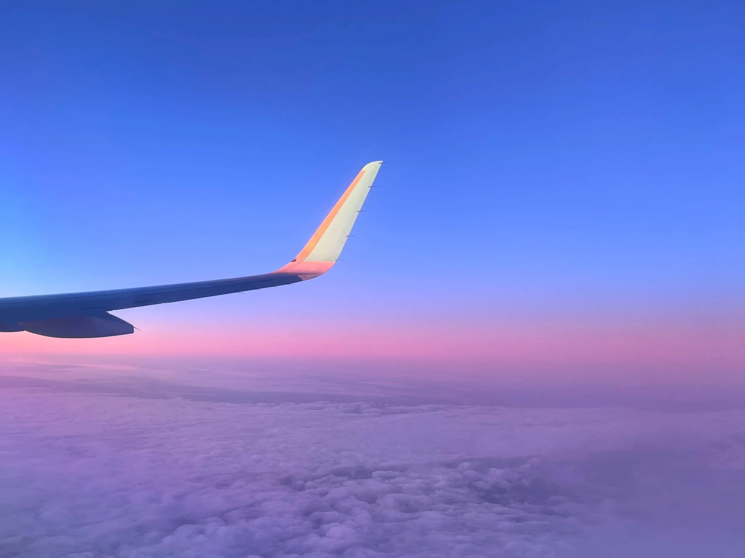 Aotearoa Dreams Part 2: Transition, uncertainty, liminal spaces