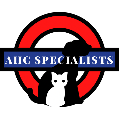 Animal Health Certificate Experts