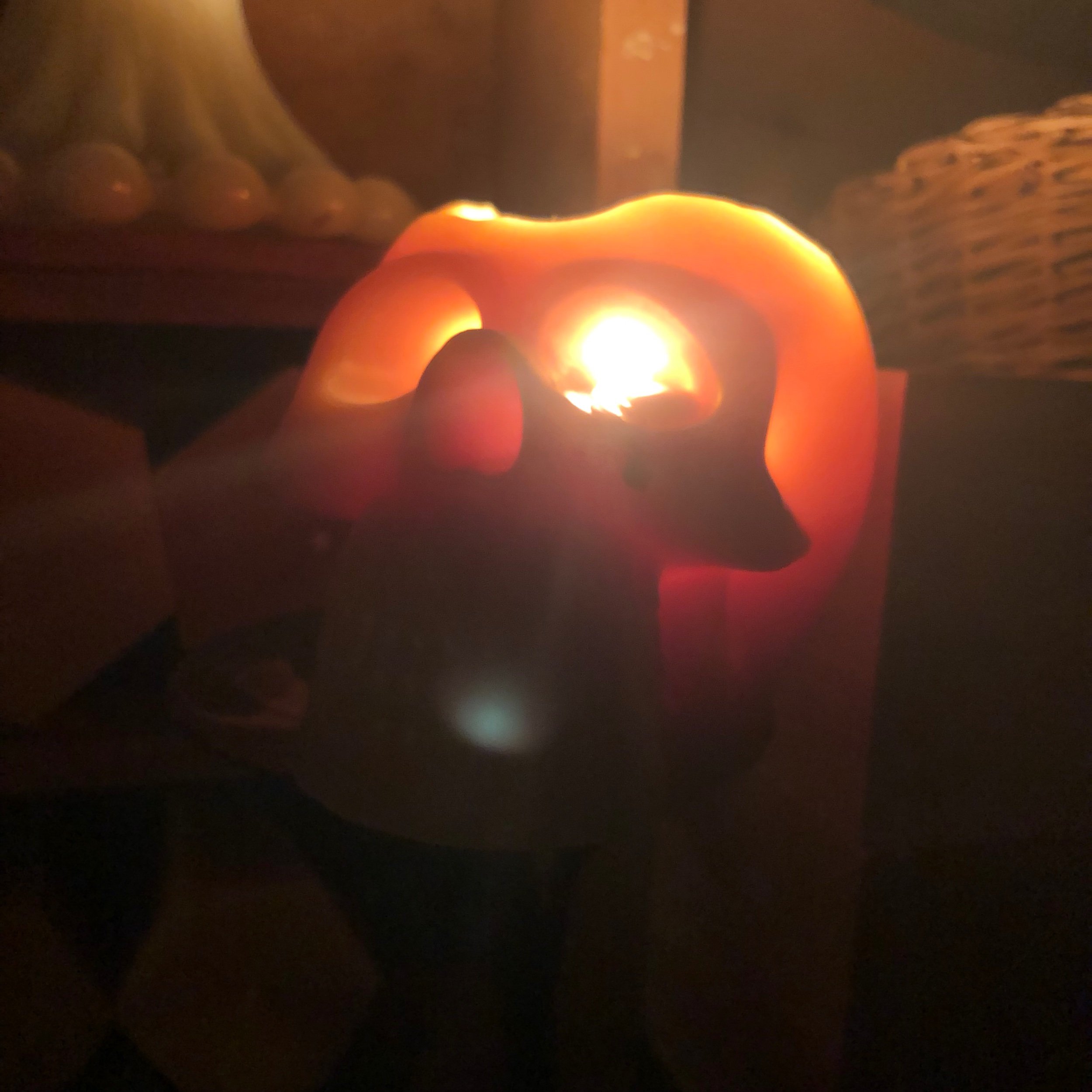 F7131E98-C3C5-4A68-8B15-18E05334CA77.jpeg