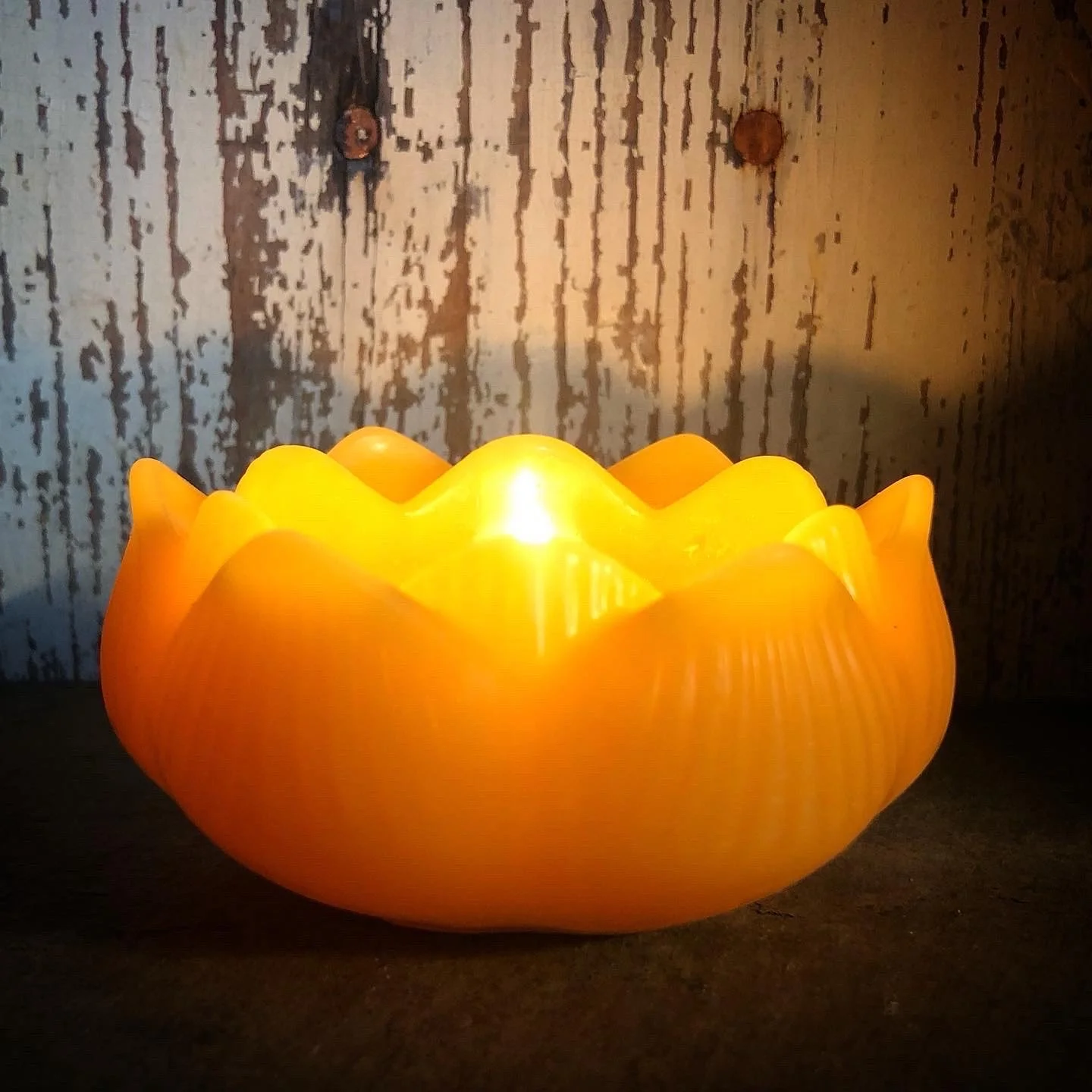 image_6483441 (68).JPG