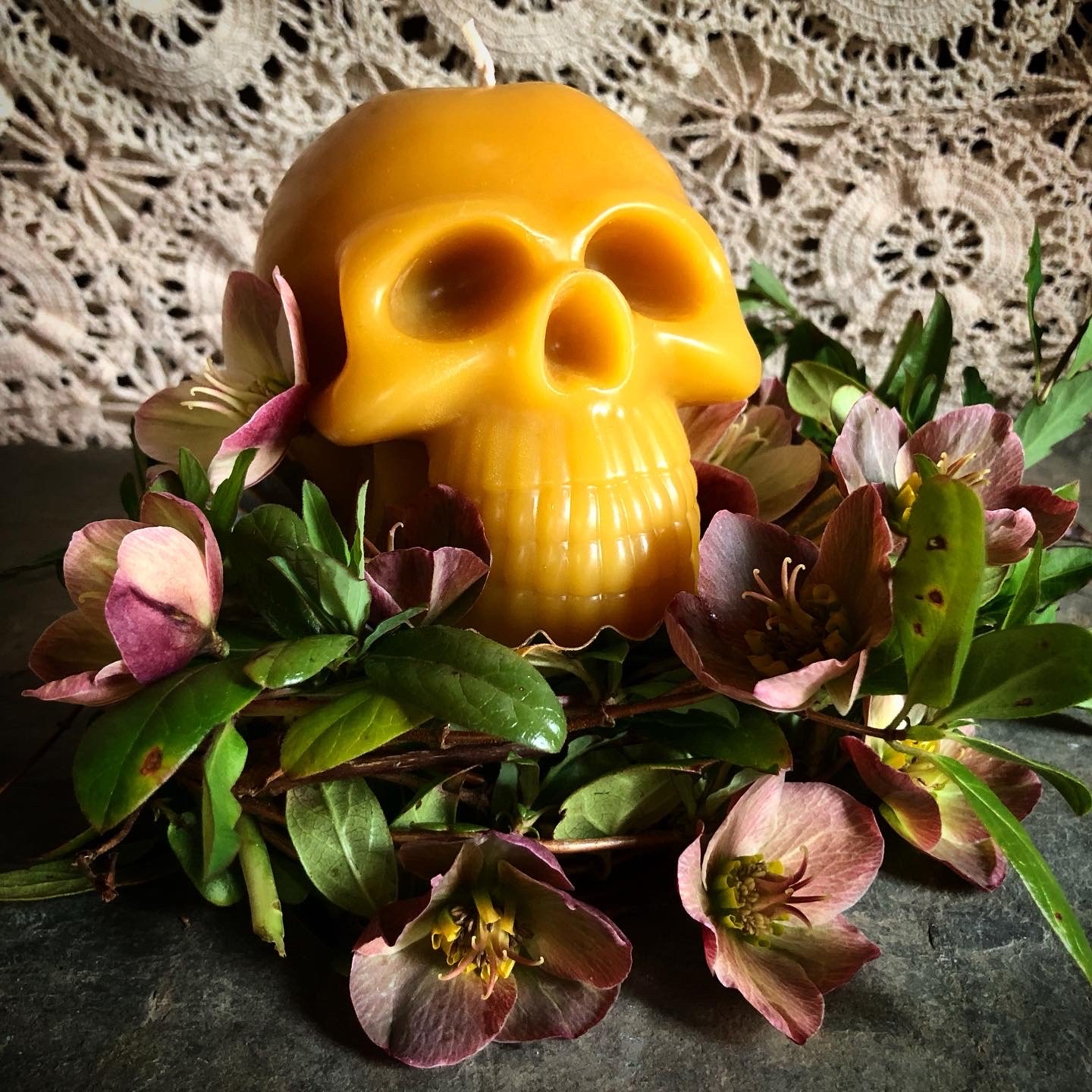 image_6483441 (72).JPG