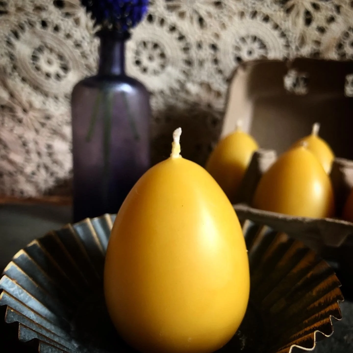 image_6483441 (70).JPG