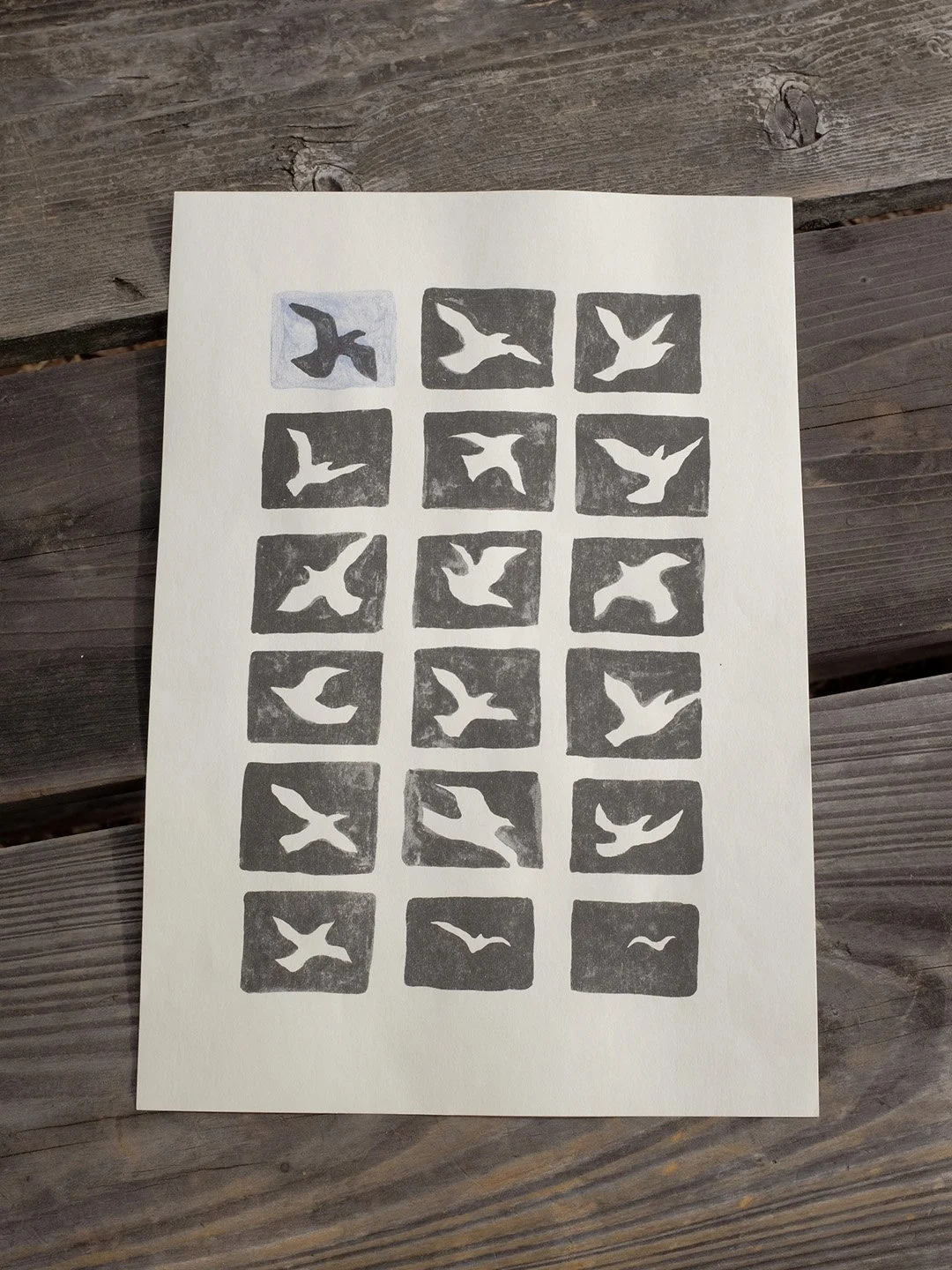 birds_insta.jpg