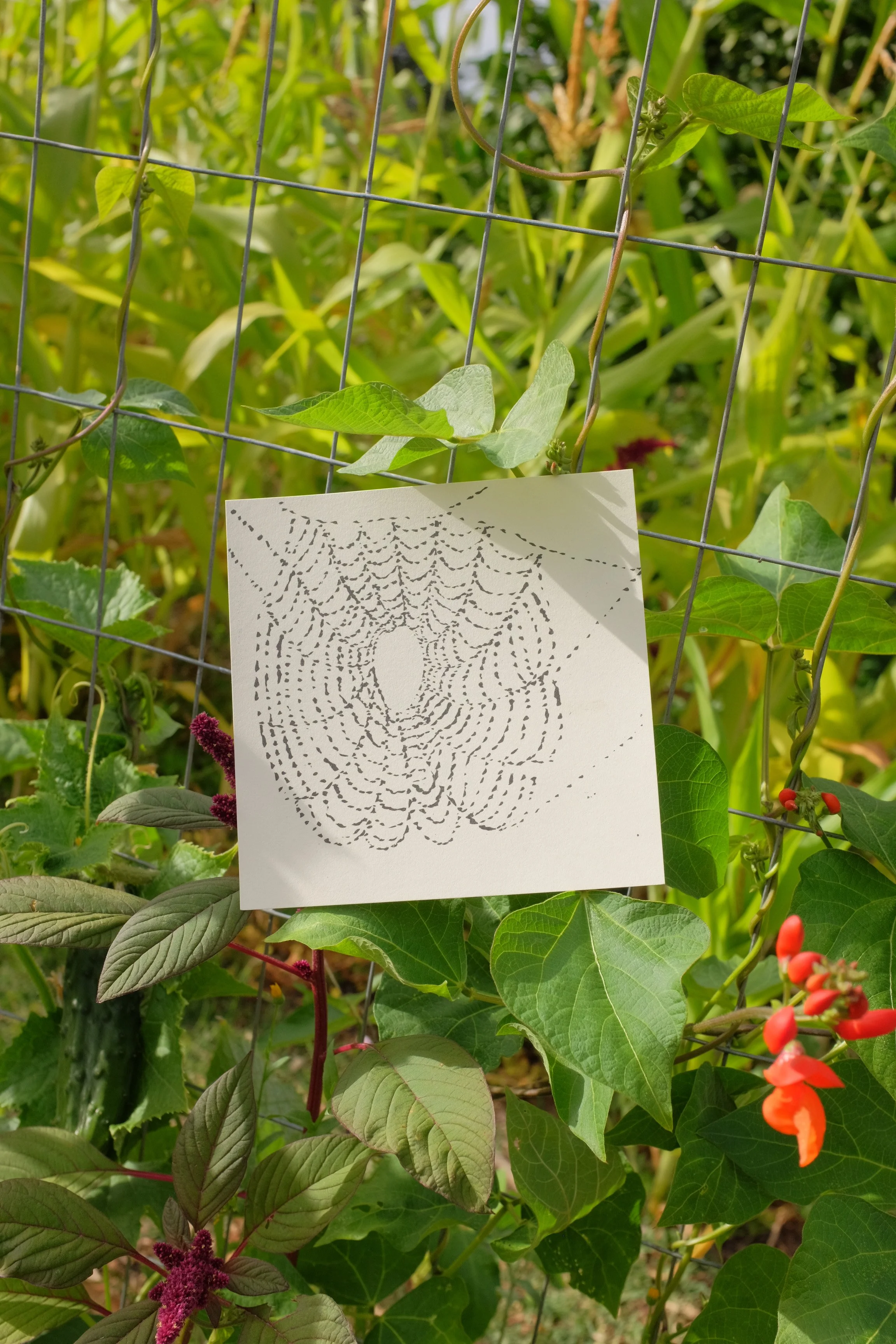 Spider Web Print