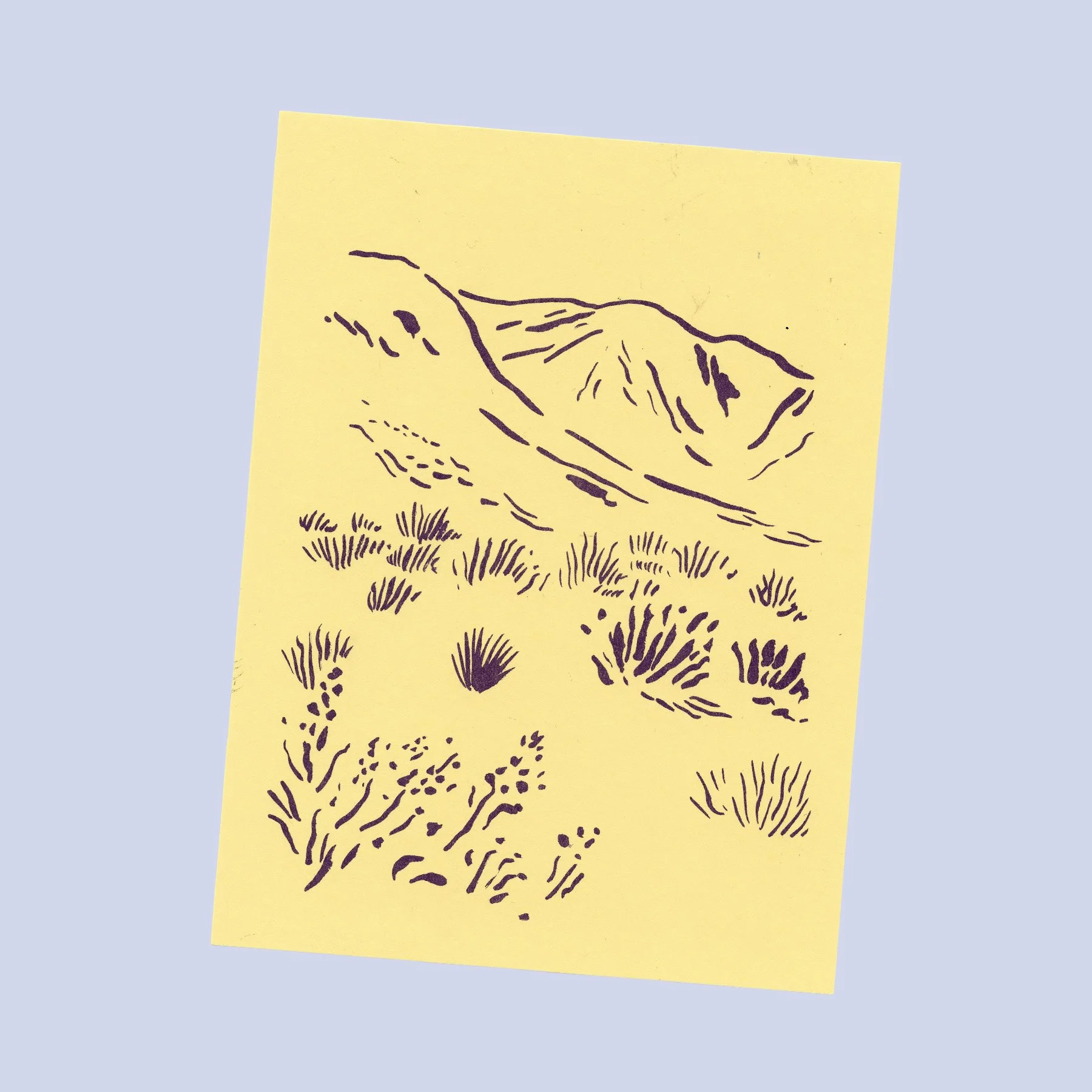 yellow desert_web.jpg