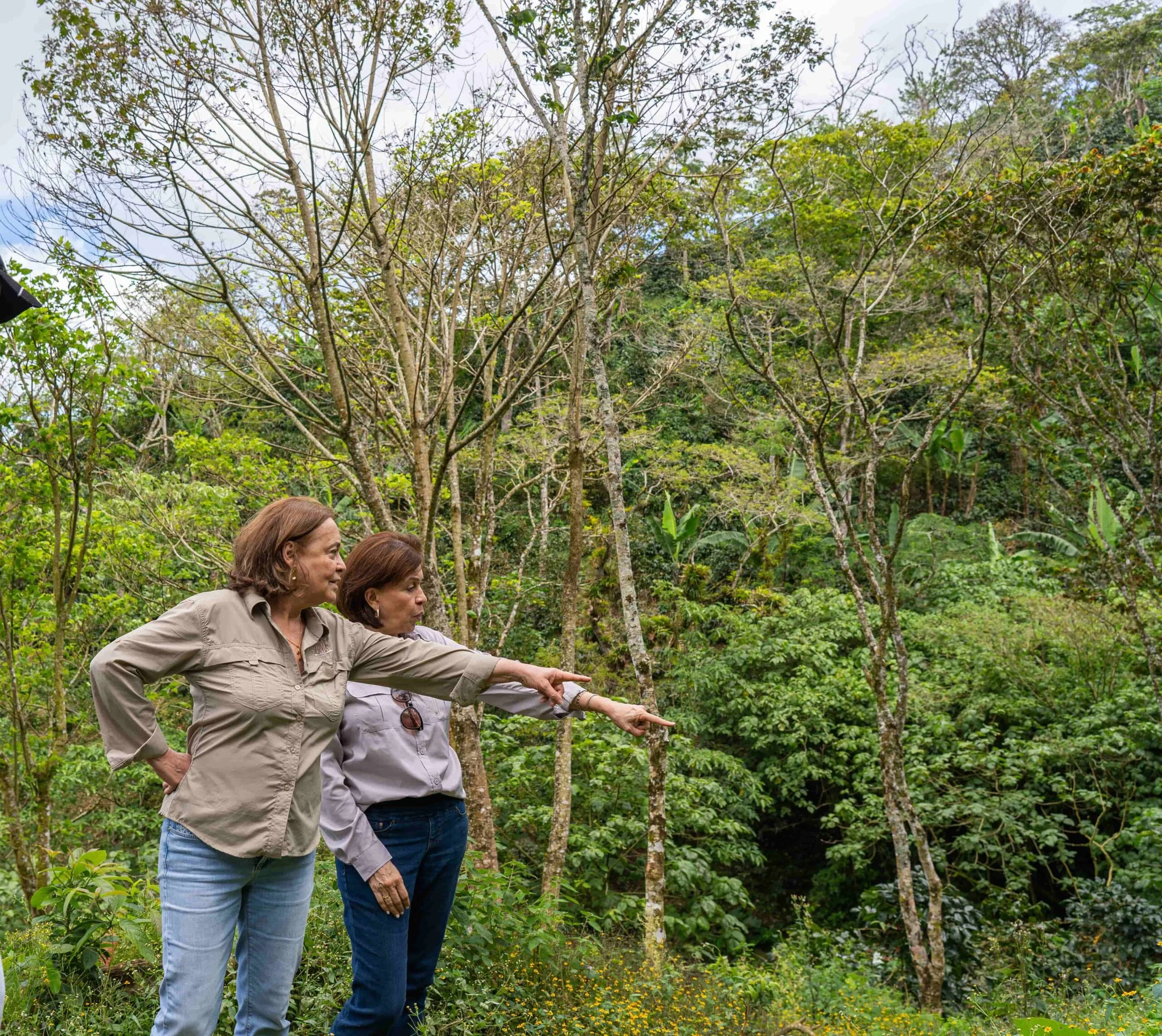 Las-productoras-de-cafe-de-Nicaragua-Hermanas-Albir-scaled.jpg