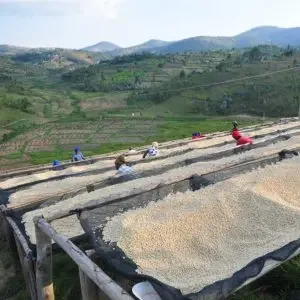 Nyamurinda_drybeds-300x300.webp