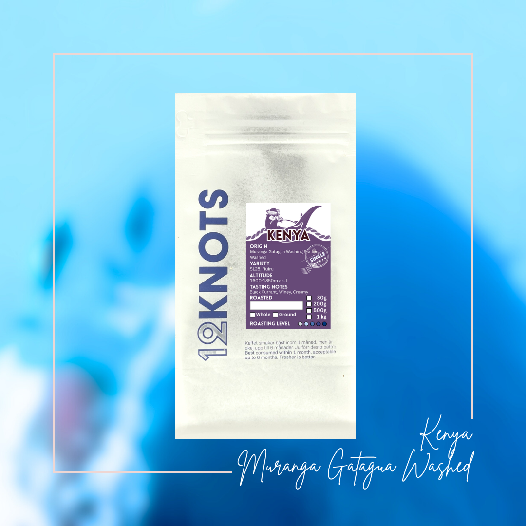 Kenya Gatagua AA Washed