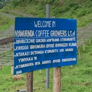 Nyamurinda_05-300x300.webp