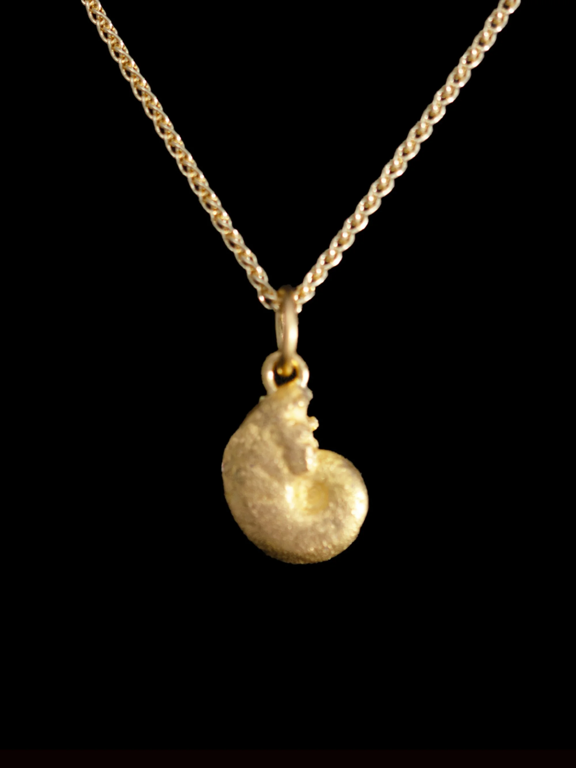 Ammonite pendant