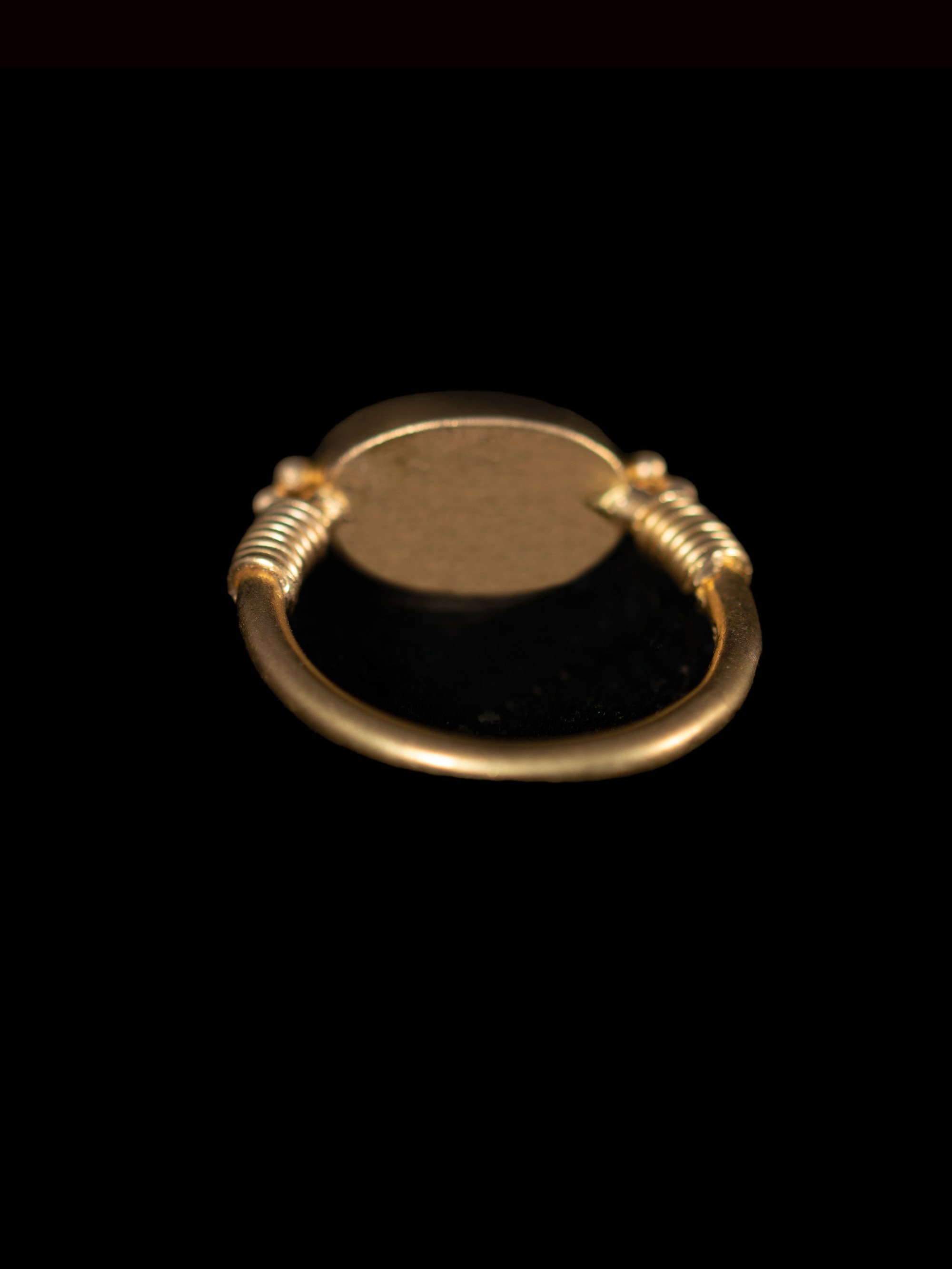 R1803-Polly-Gasston-Bronze-back.jpg