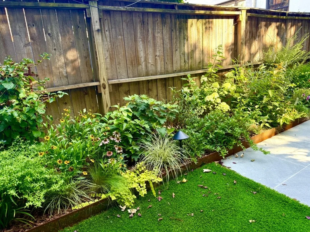 Corten steel edging, bluestone patio, turf, and garden lights