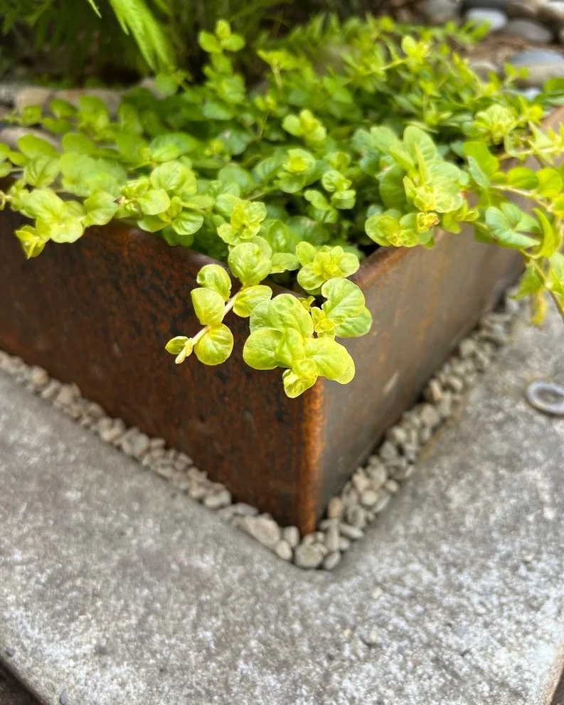 Corten steel edging lined with gravel