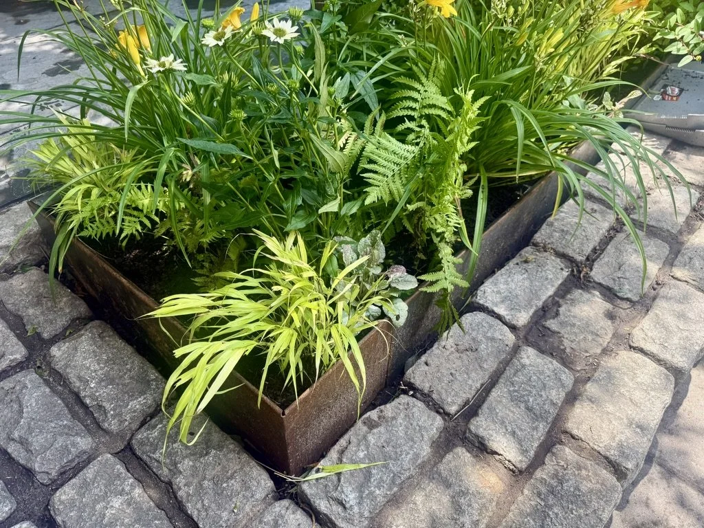 Corten steel edging and a custom cobblestone walkway