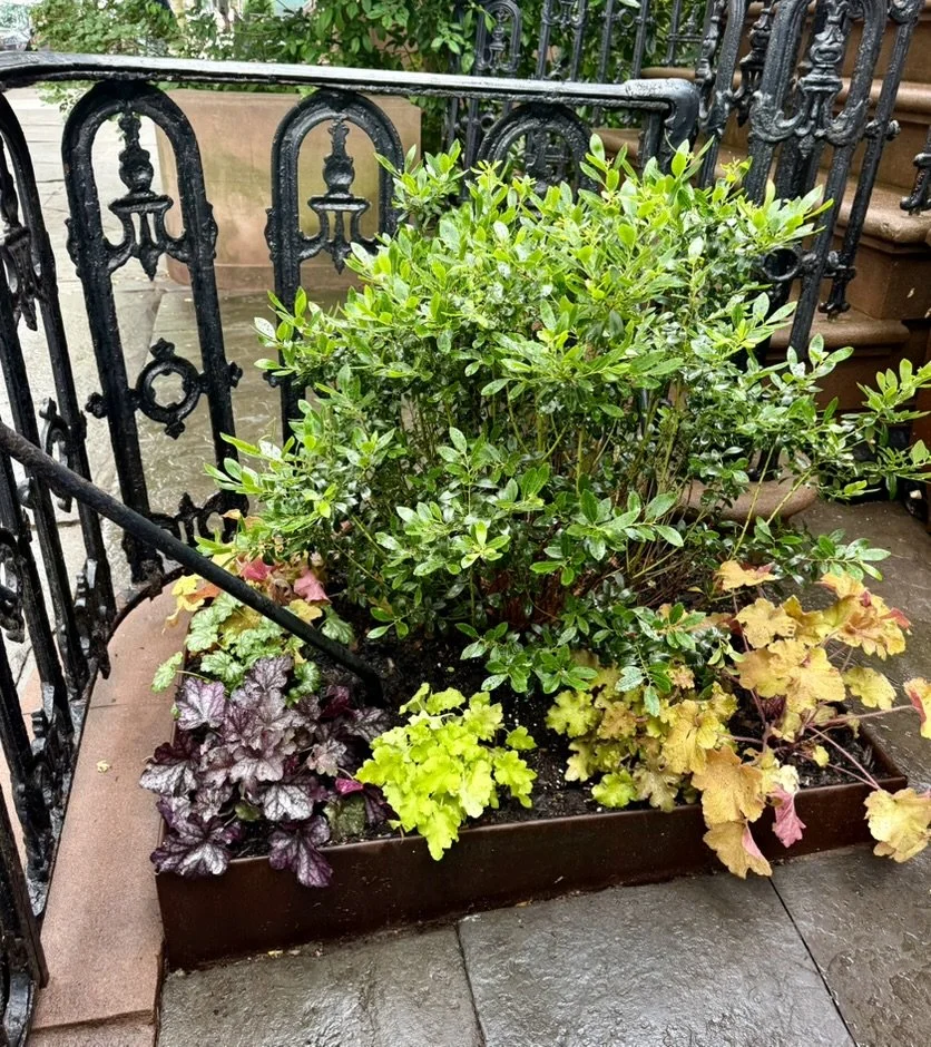 Corten steel edging lining a front yard garden bed