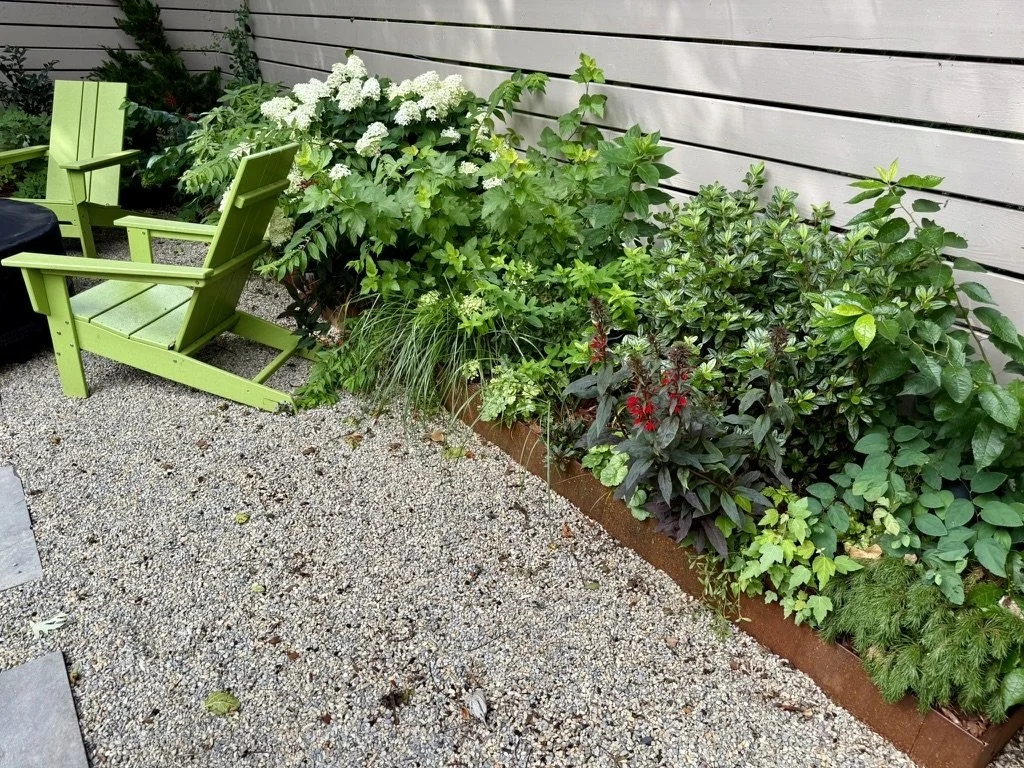 Corten steel edging & pea gravel