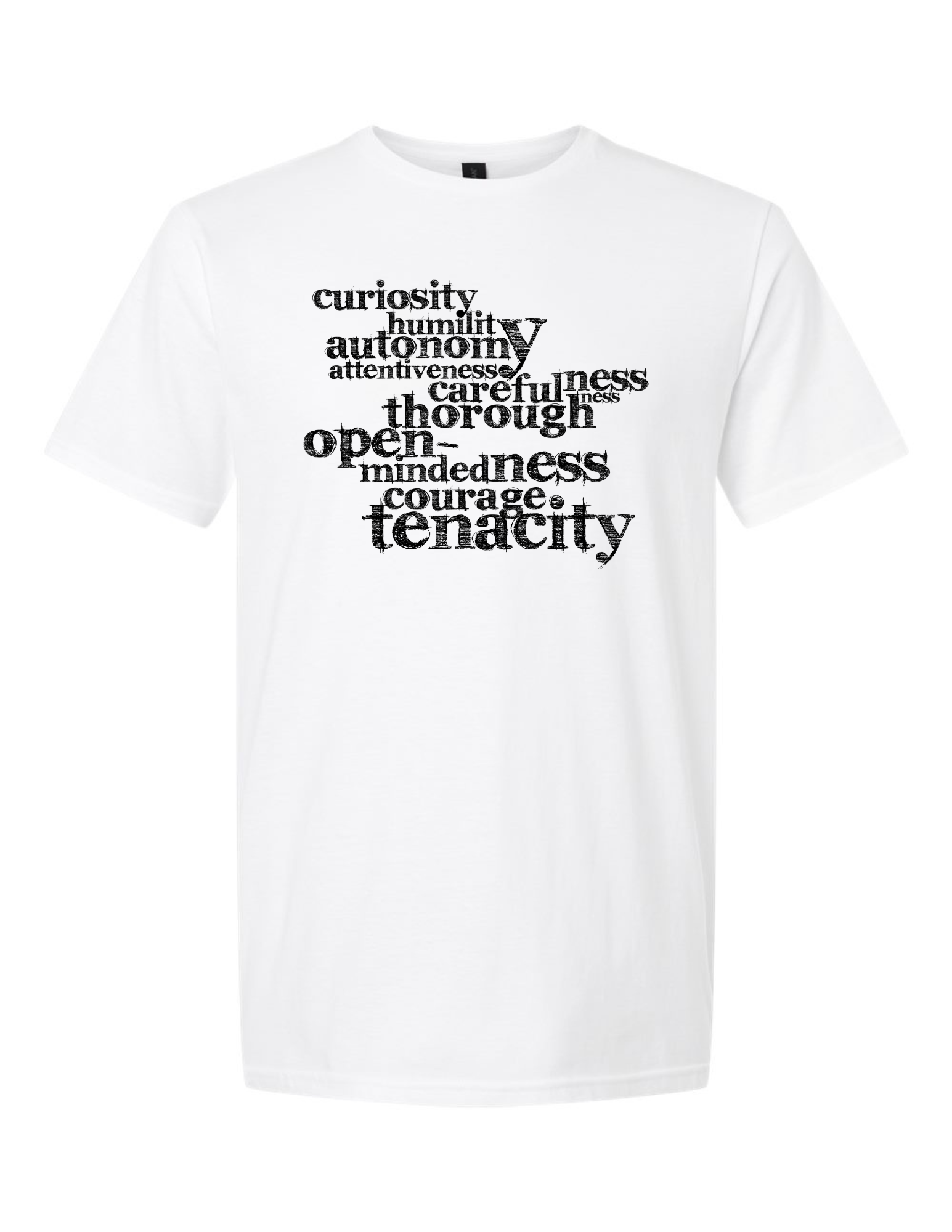 IVA (12).png