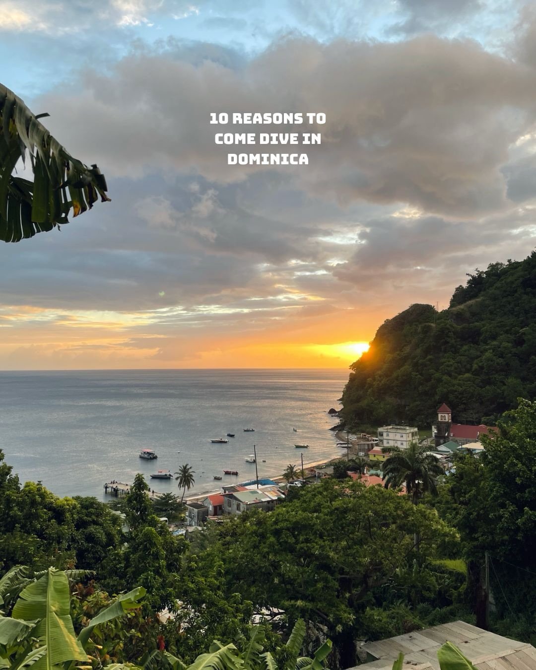 If you weren&rsquo;t convinced yet ☀️🌊🌴🌈

#dominica #freediving #caribbean #diving #natureisland