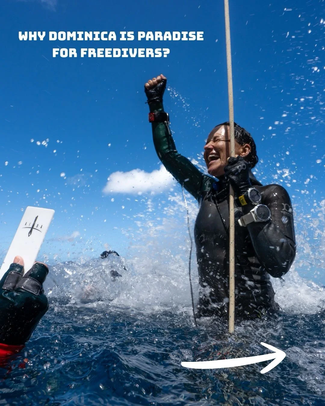Why dominica is one of the best spots for freediving in the world! 

Perfect conditions, easy access to depth and one of a kind nature to explore on your days out of water. And let&rsquo;s not forget the wonderful community 💙😍🌈☀️🌴

Questions? Sen