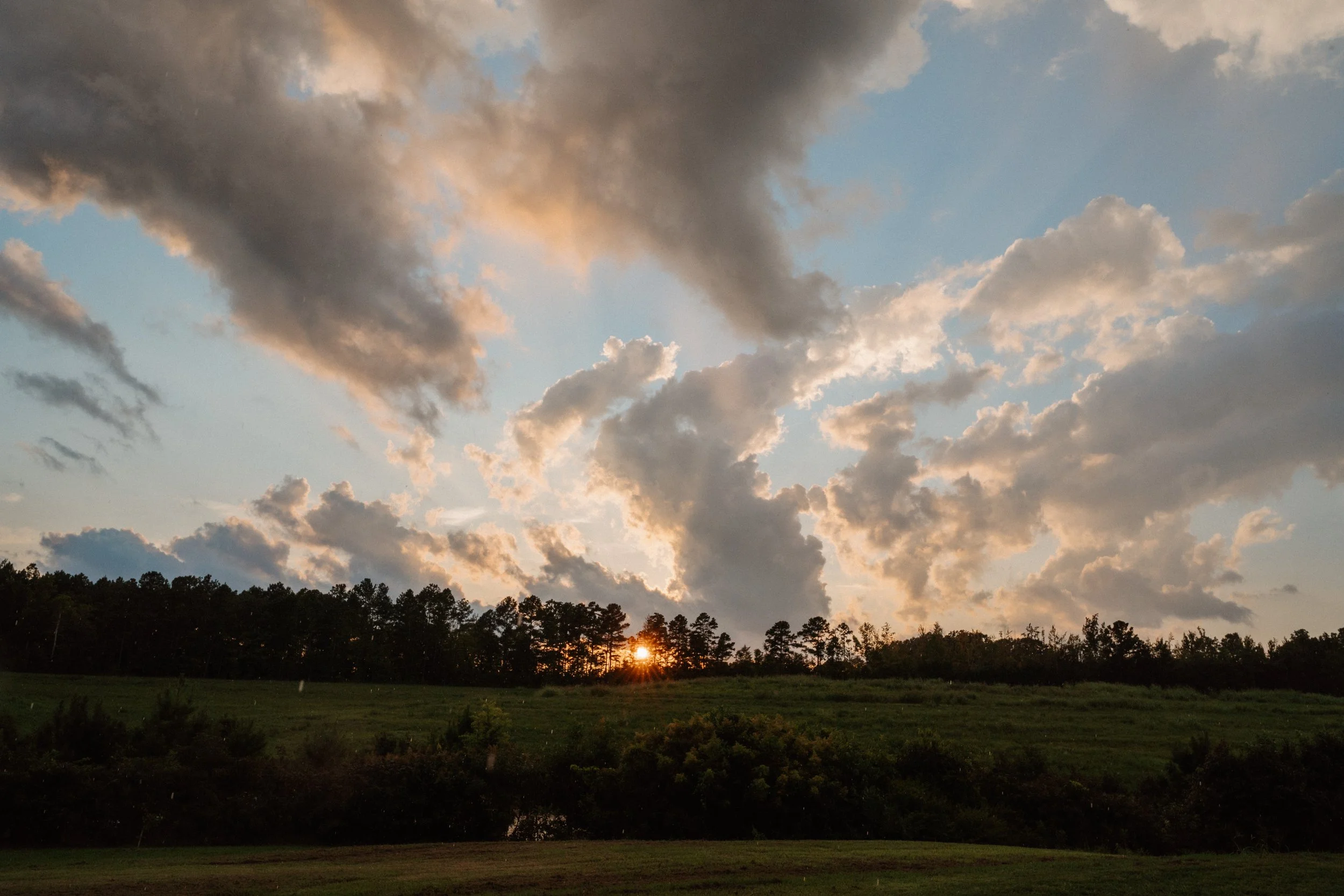 richmond virginia documentary style family photography_0438.jpg