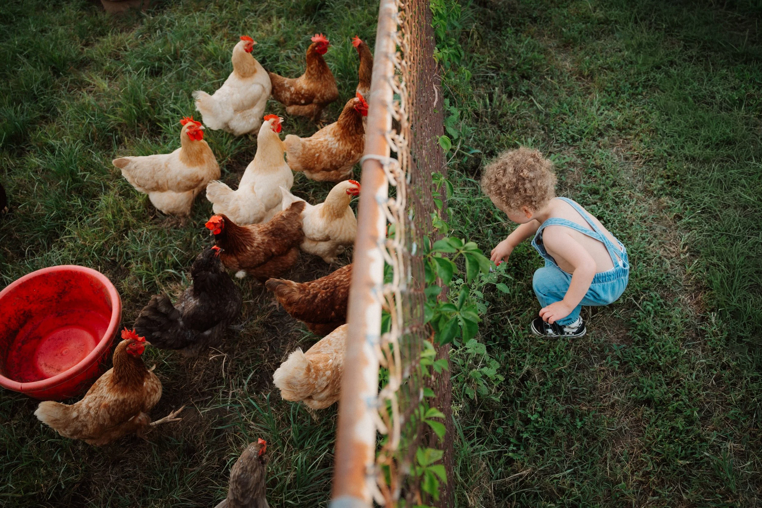 richmond virginia documentary family photography 46.jpg