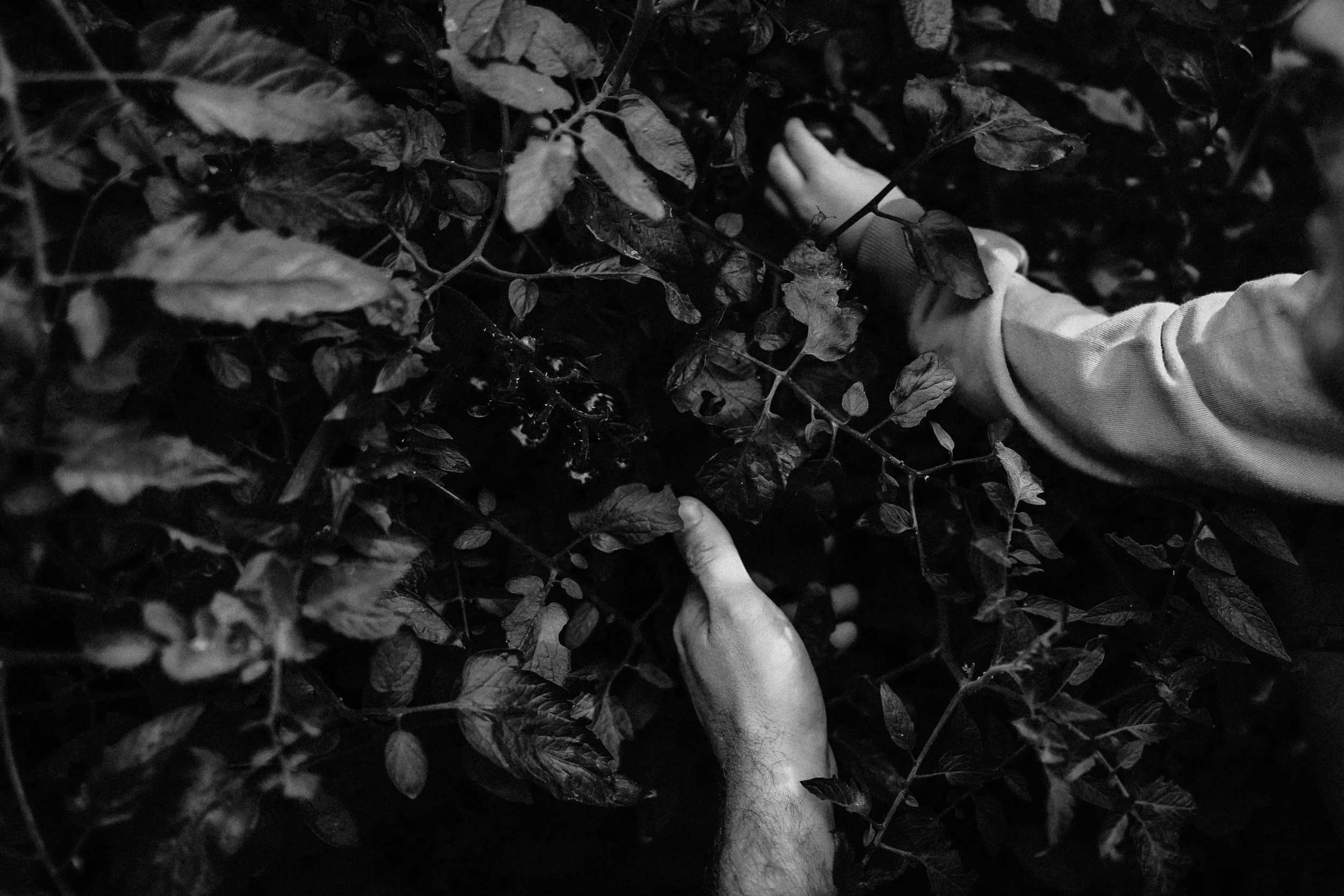 family documentary photography va_0330.jpg