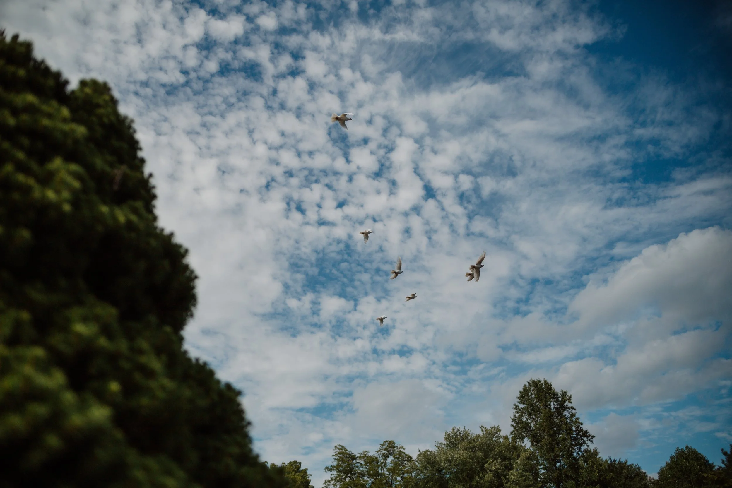 richmond documentary wedding photographerB.jpg