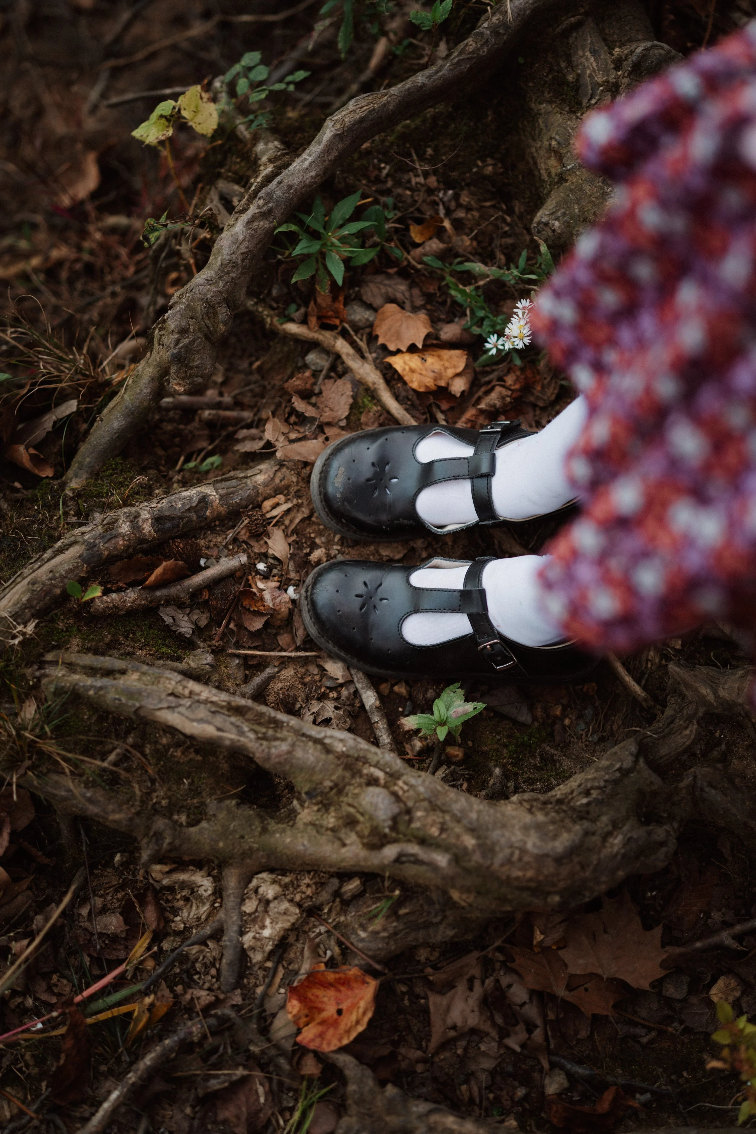 family documentary photographer richmond va_0254.jpg