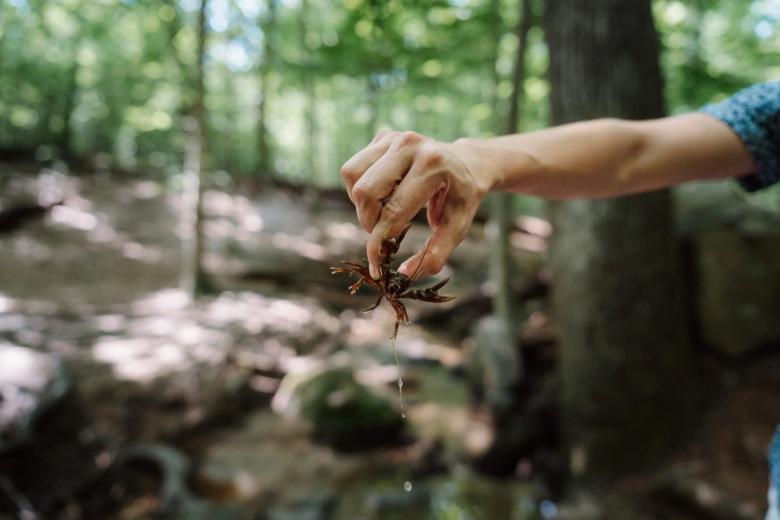 Richmond virginia documentary family photographer_0001.jpg