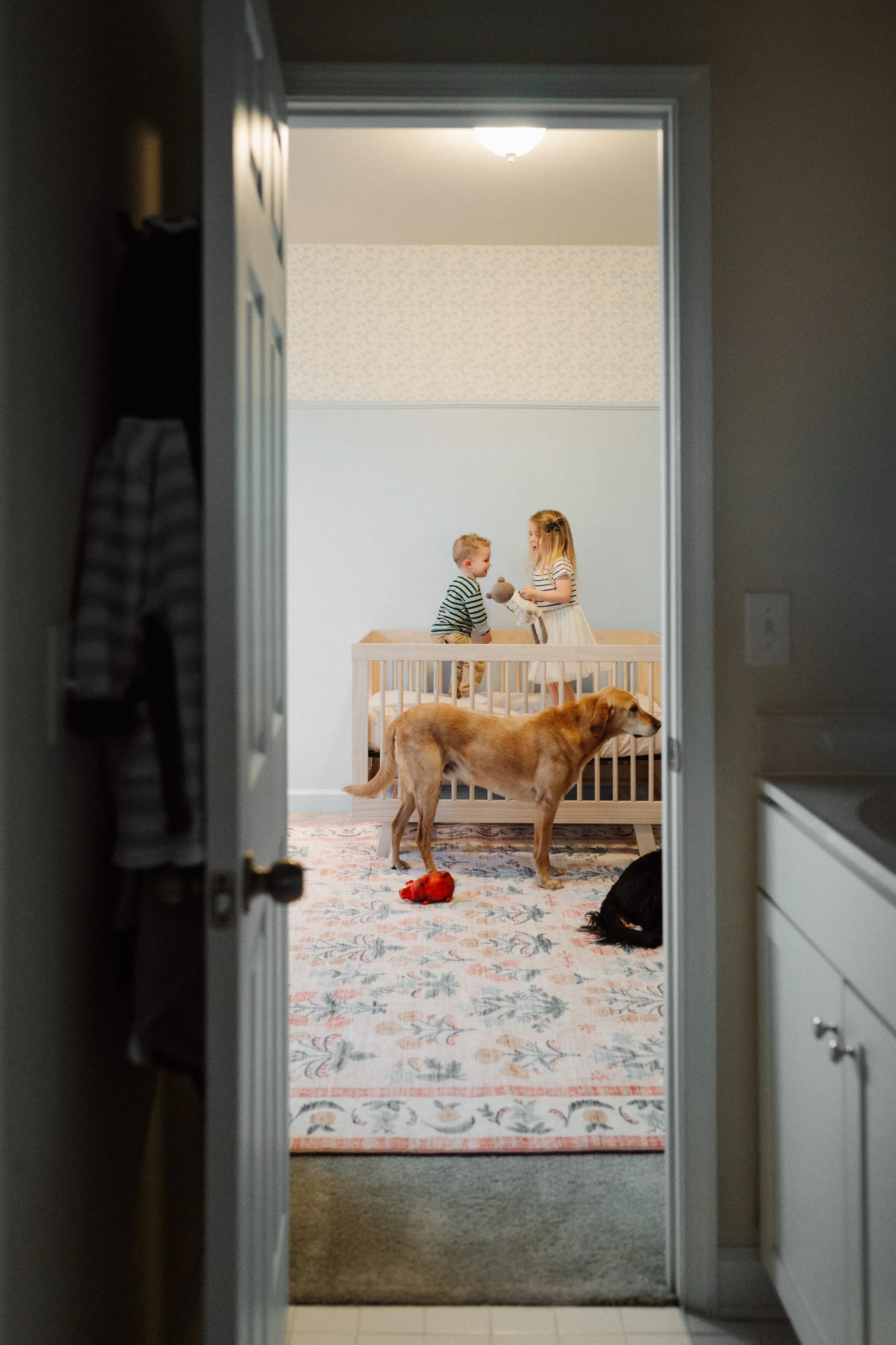 documentary family photography virginia_0160.jpg