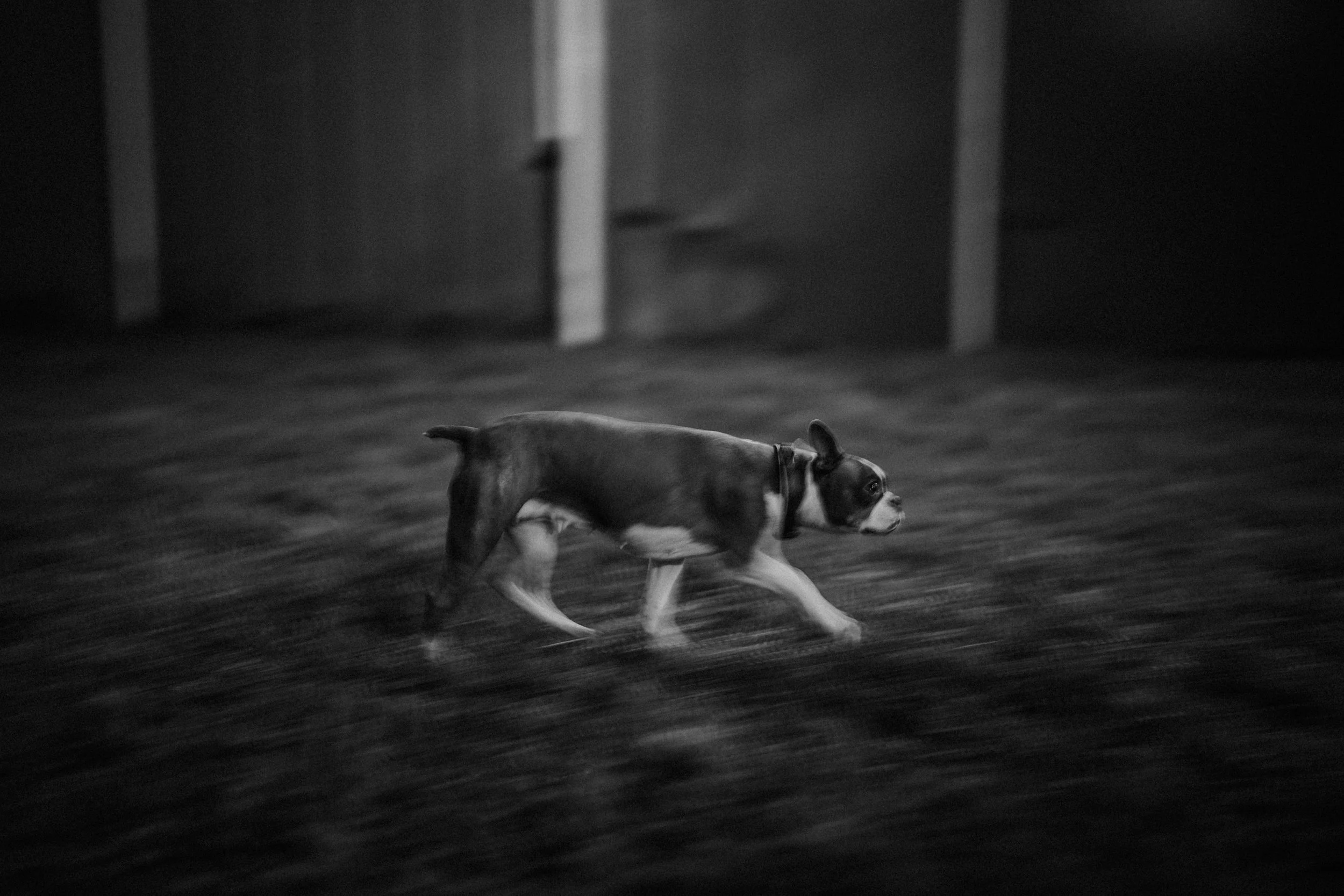 richmond virginia documentary style family photography_0428.jpg