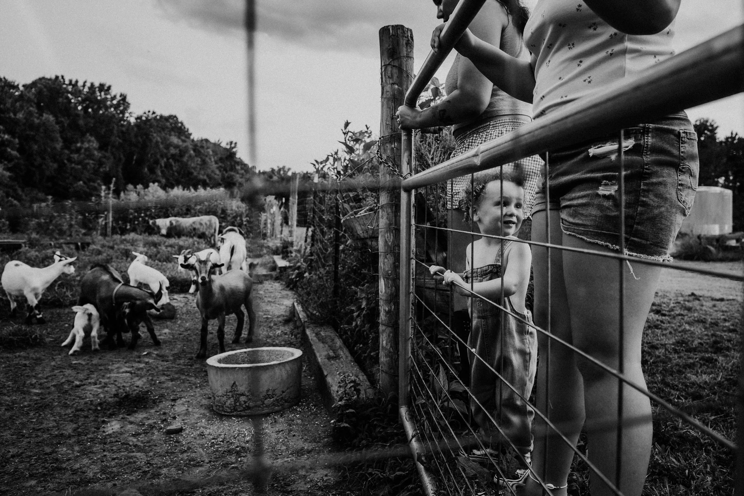 richmond virginia documentary style family photography_0439.jpg