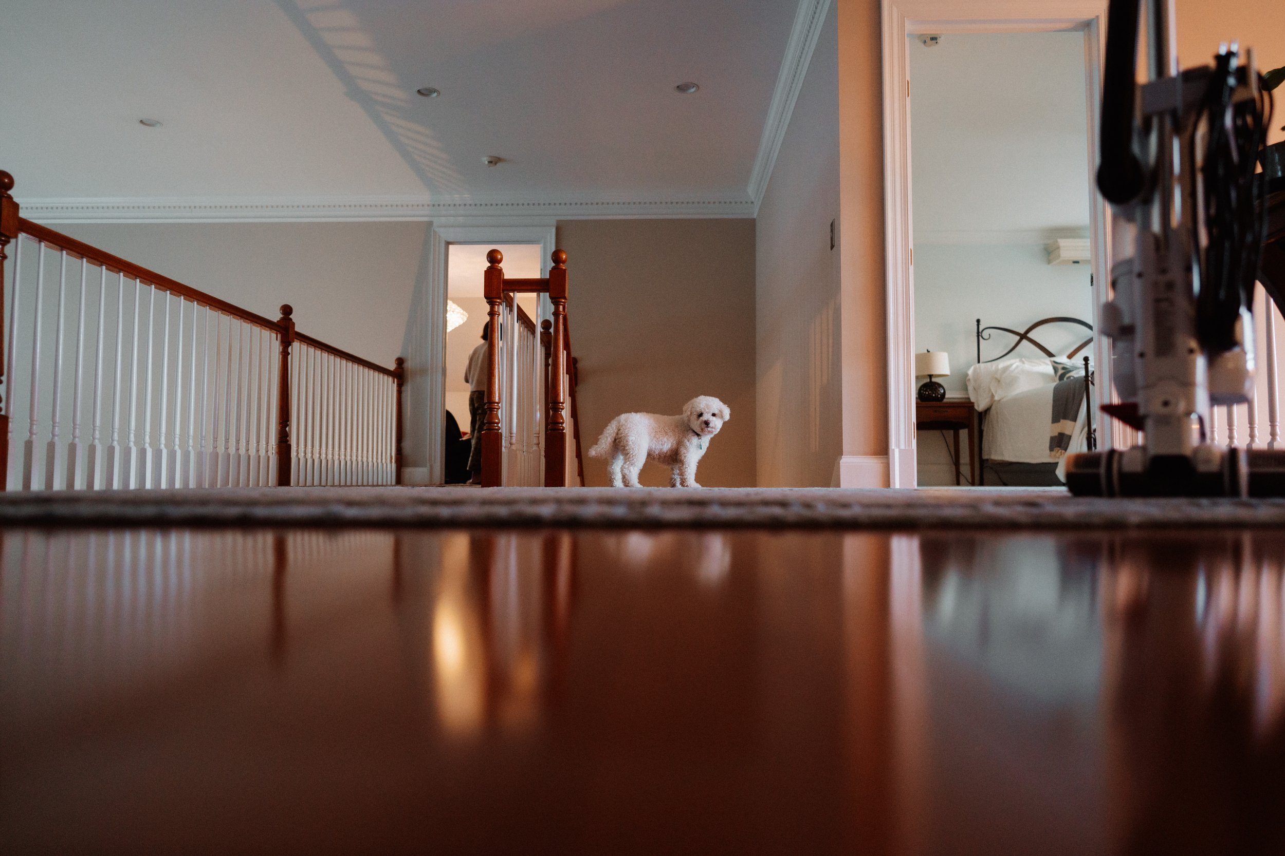 family documentary photography virginia_0296.jpg