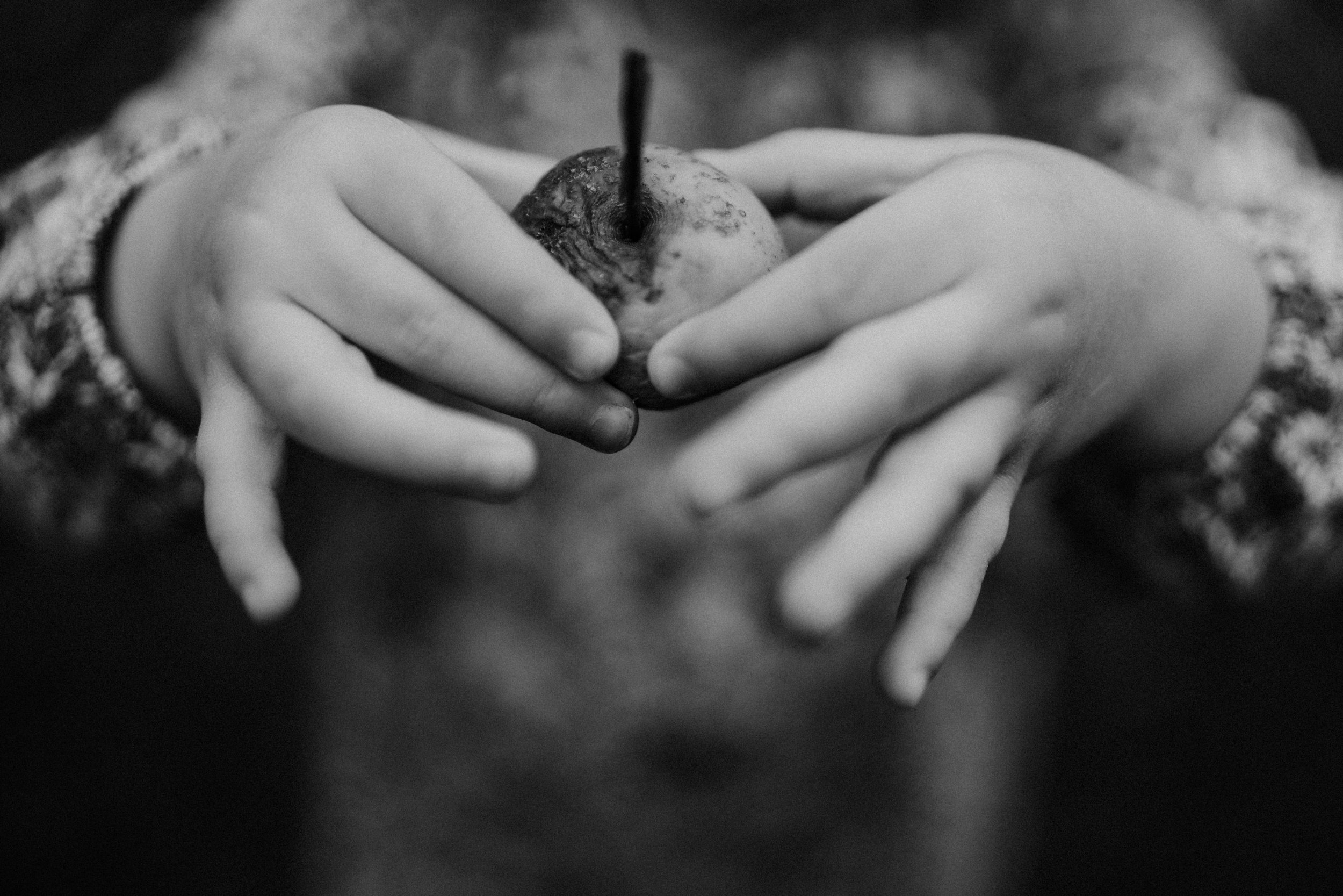 family documentary photography richmond va_0262.jpg