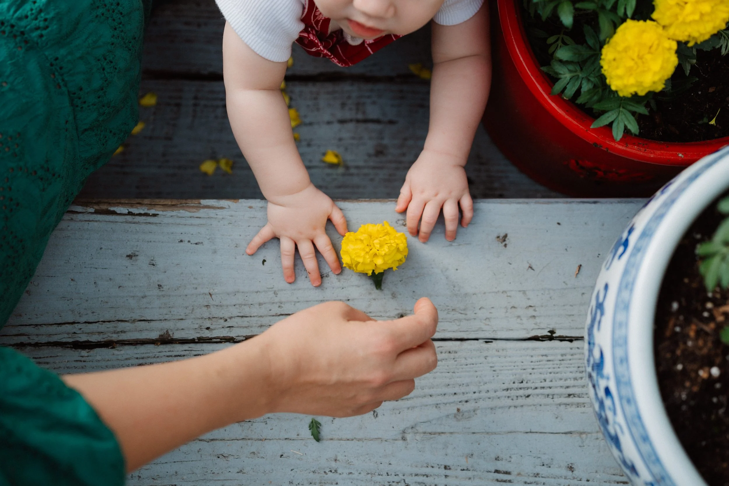 family documentary photographer virginia_0281.jpg