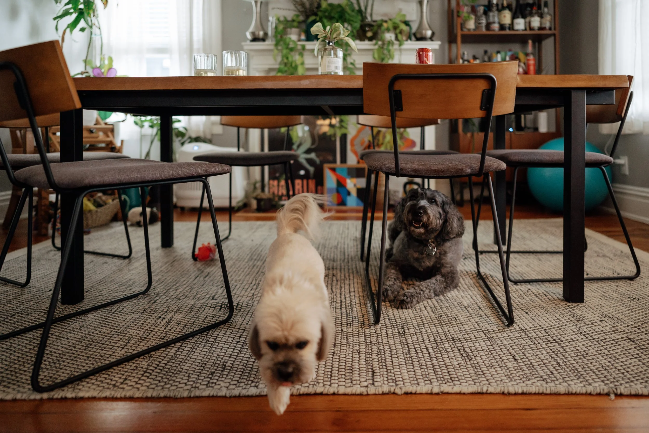 va documentary family photography_0132.jpg