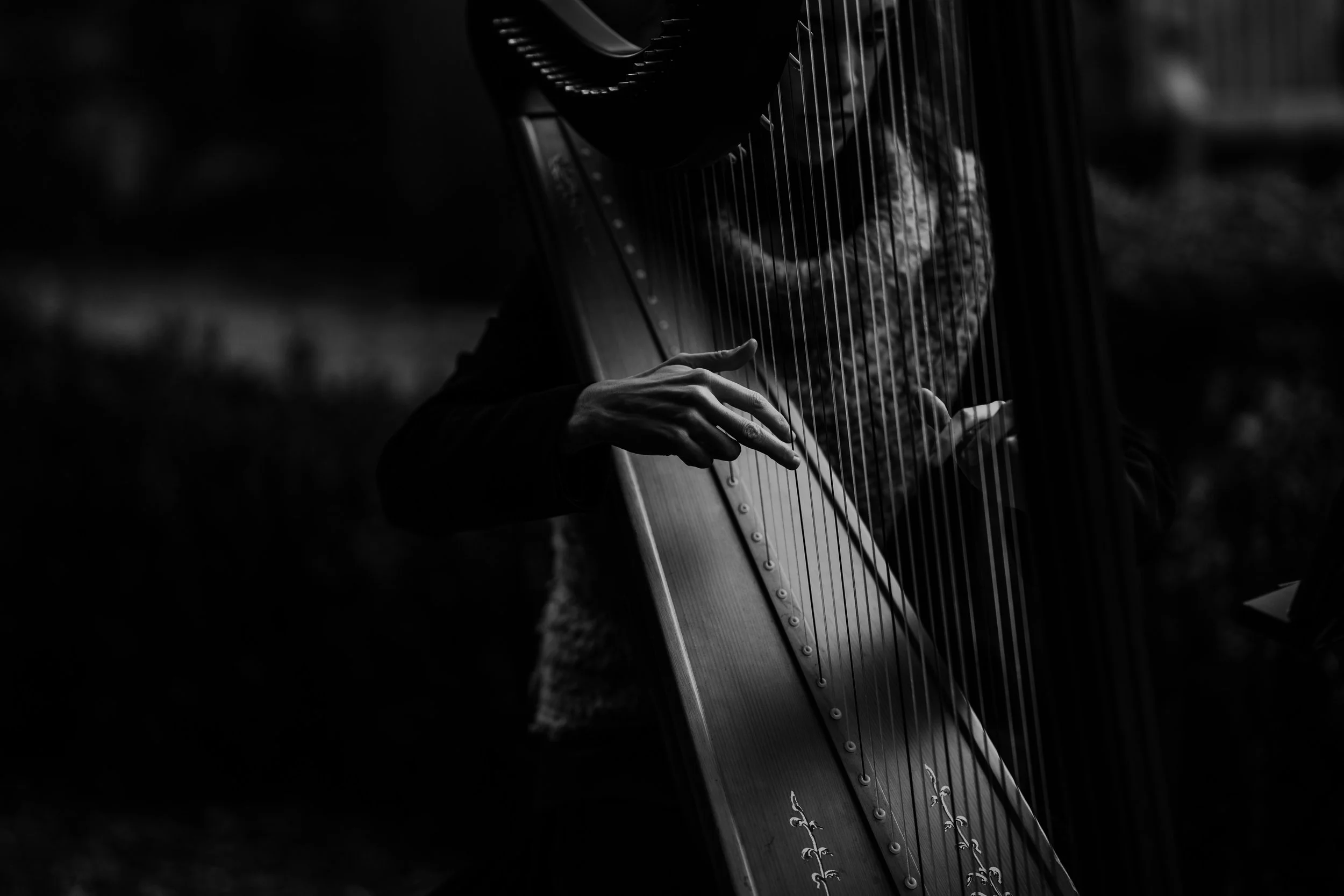 Richmond virginia wedding photographer.jpg