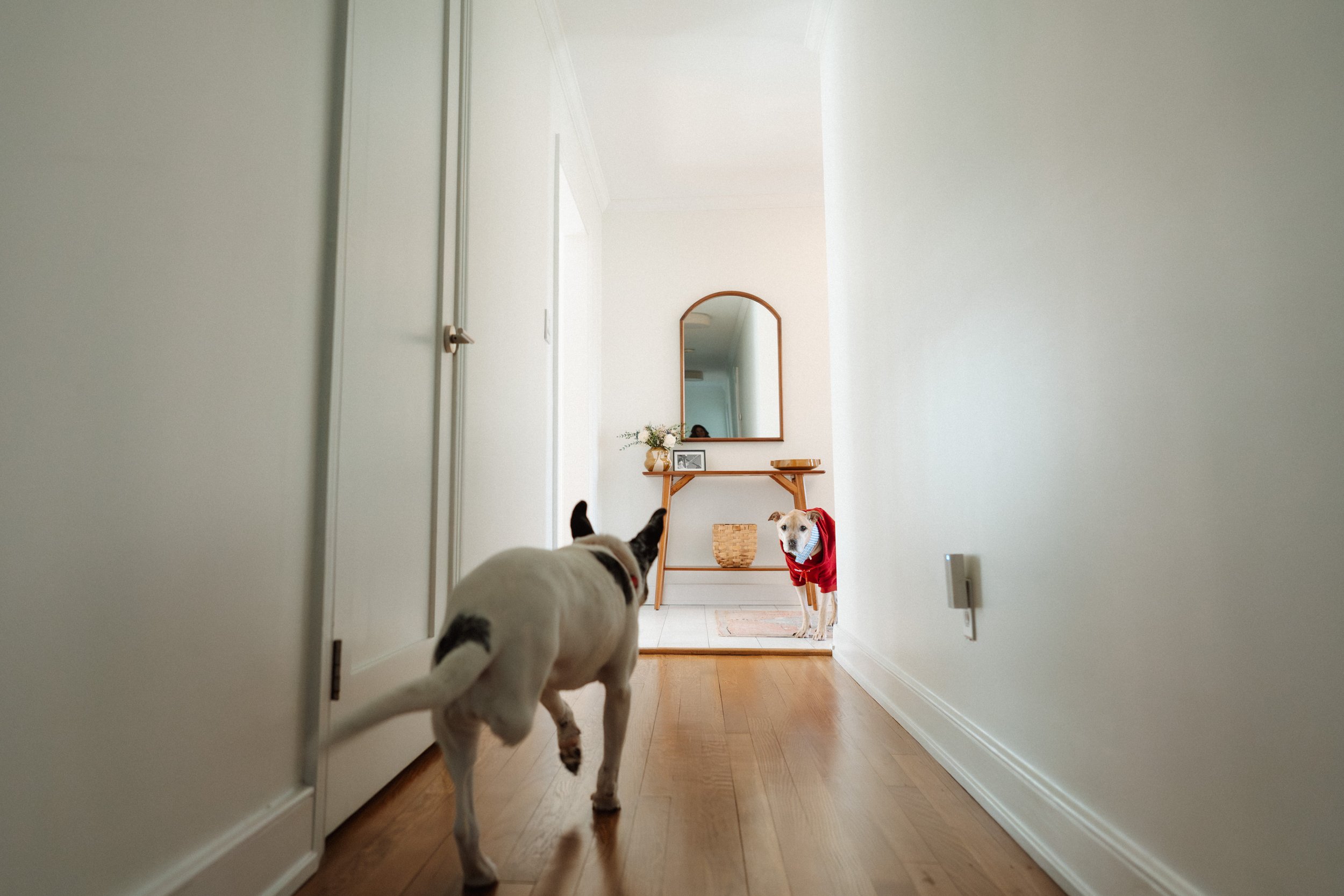 family documentary photographer virginia_0270.jpg