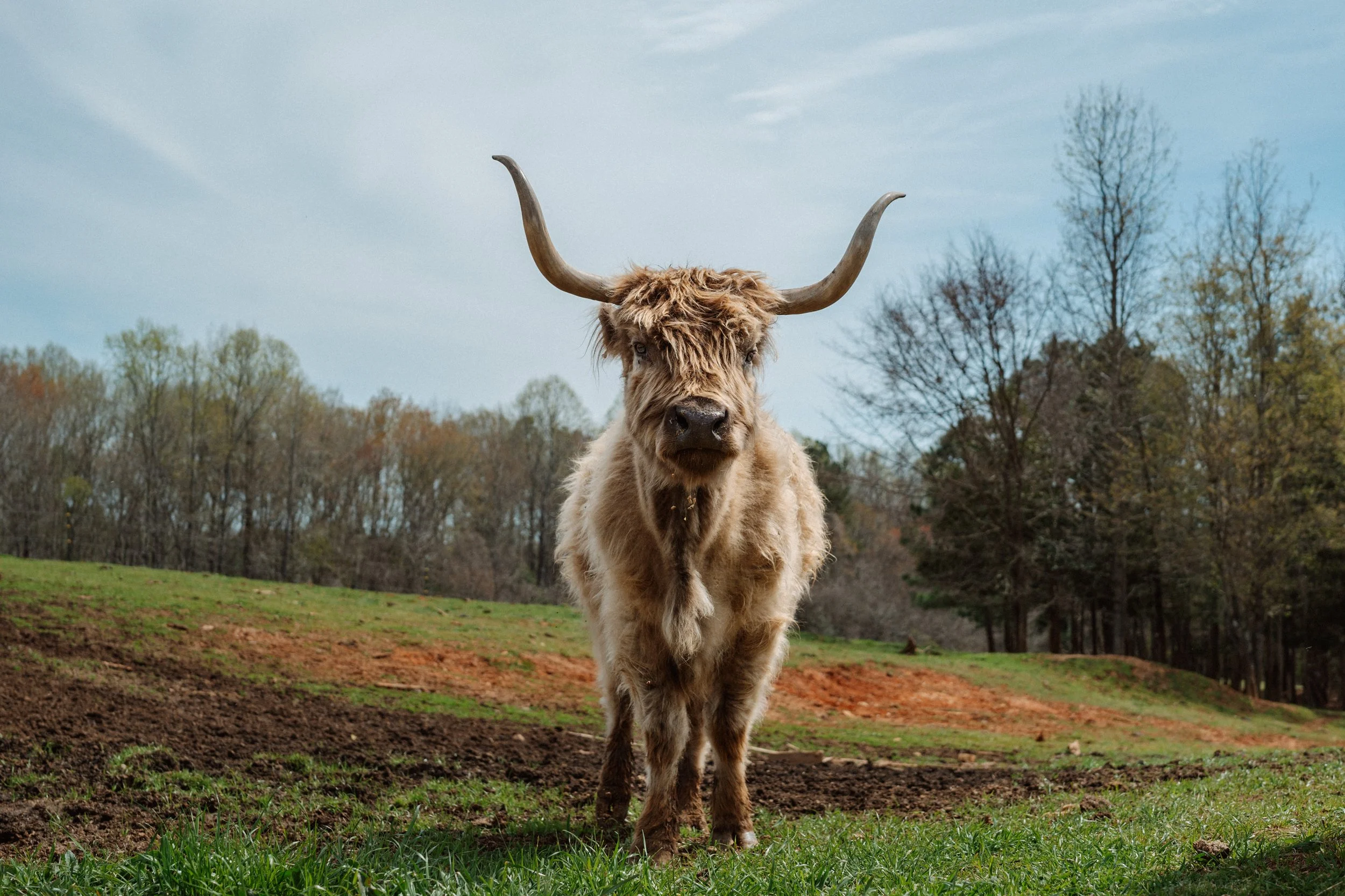 va documentary family photographer_0122.jpg